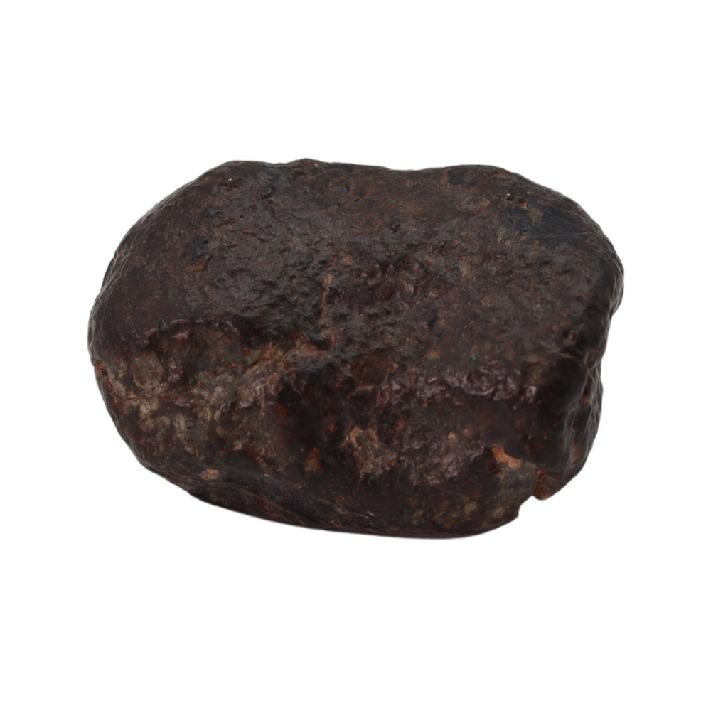 NWA 869 Meteorite Ordinary Chondrite Regolith Breccia (22.11 g) - MBS meteorite 