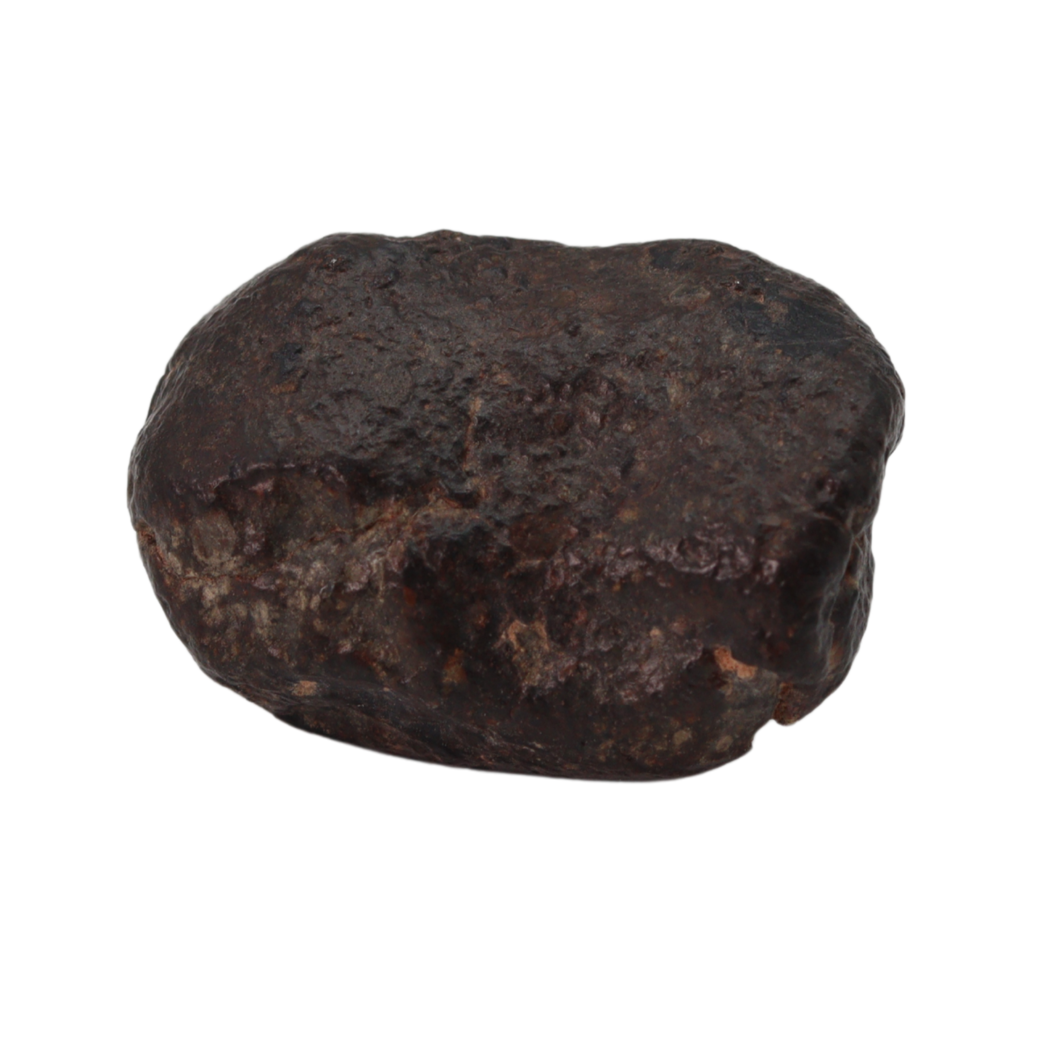 NWA 869 Meteorite Ordinary Chondrite Regolith Breccia (22.11 g) - MBS meteorite 