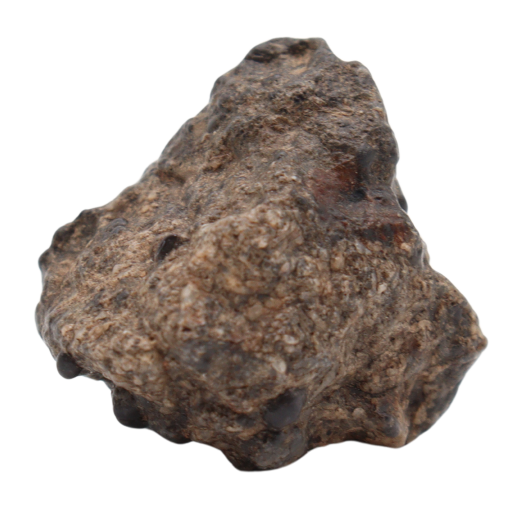 Bechar 003 Meteorite Lunar Feldspathic Breccia (7.19 g). - MBS meteorite 