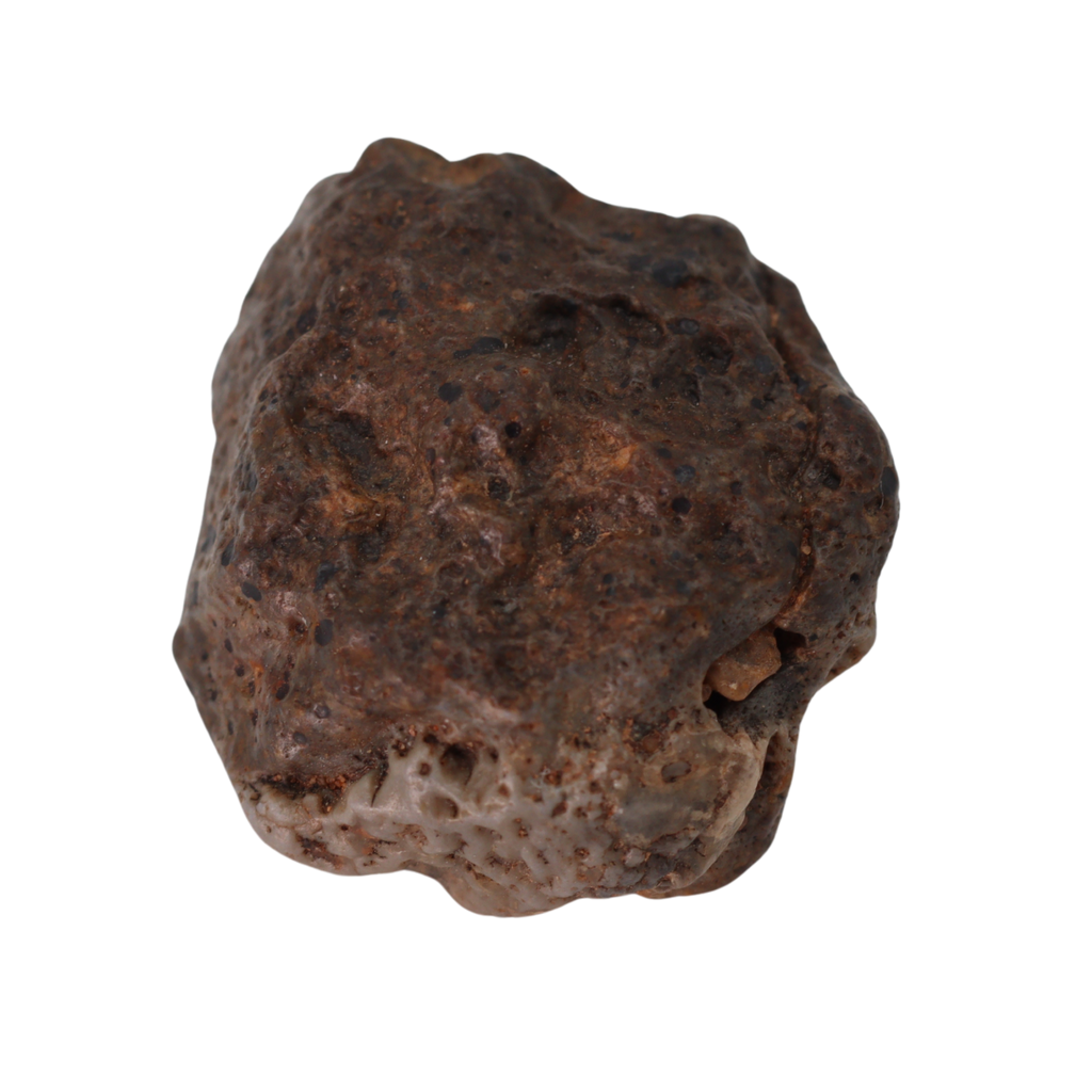 Bechar 003 Meteorite Lunar Feldspathic Breccia (4.77 g). - MBS meteorite 