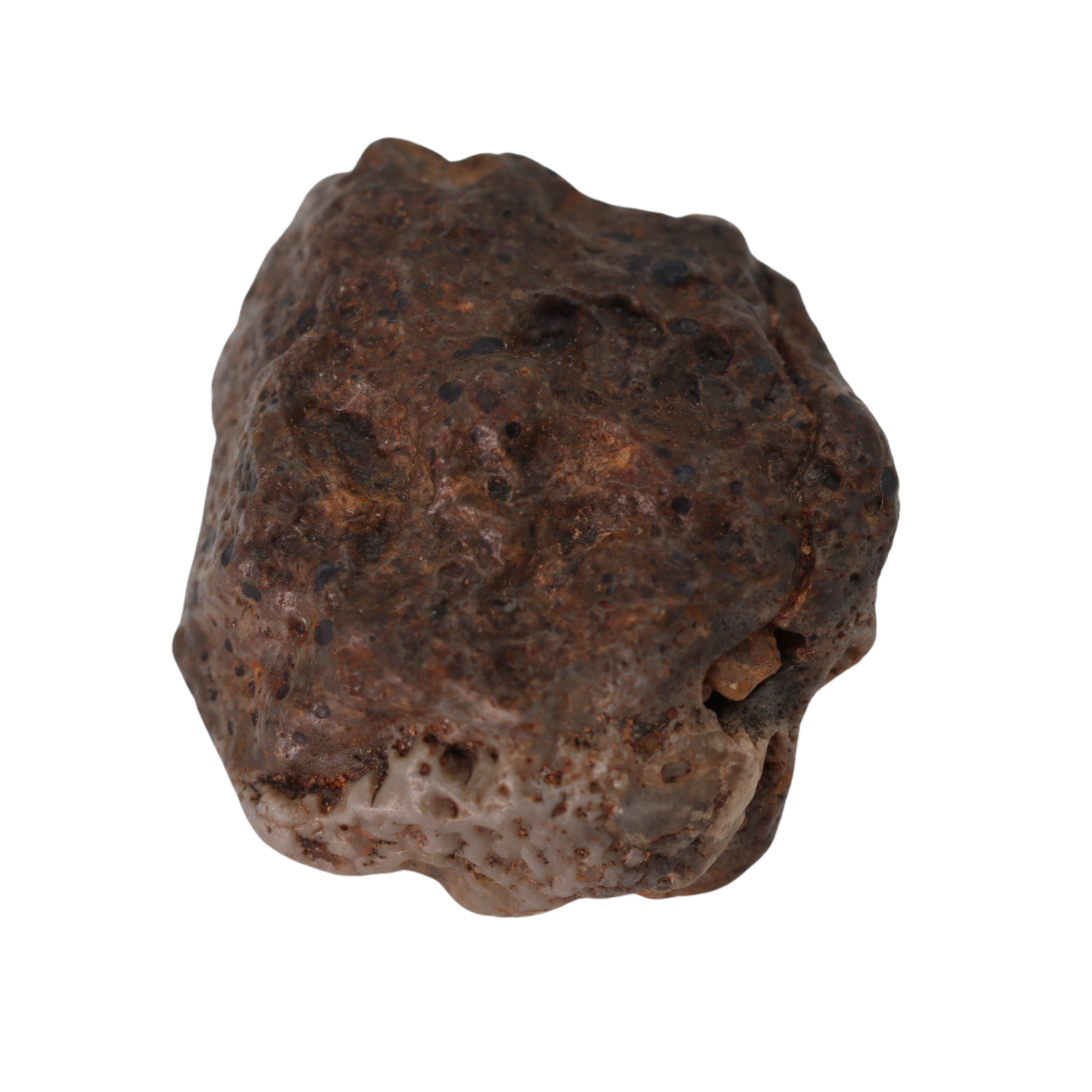 Bechar 003 Meteorite Lunar Feldspathic Breccia (4.77 g). - MBS meteorite 