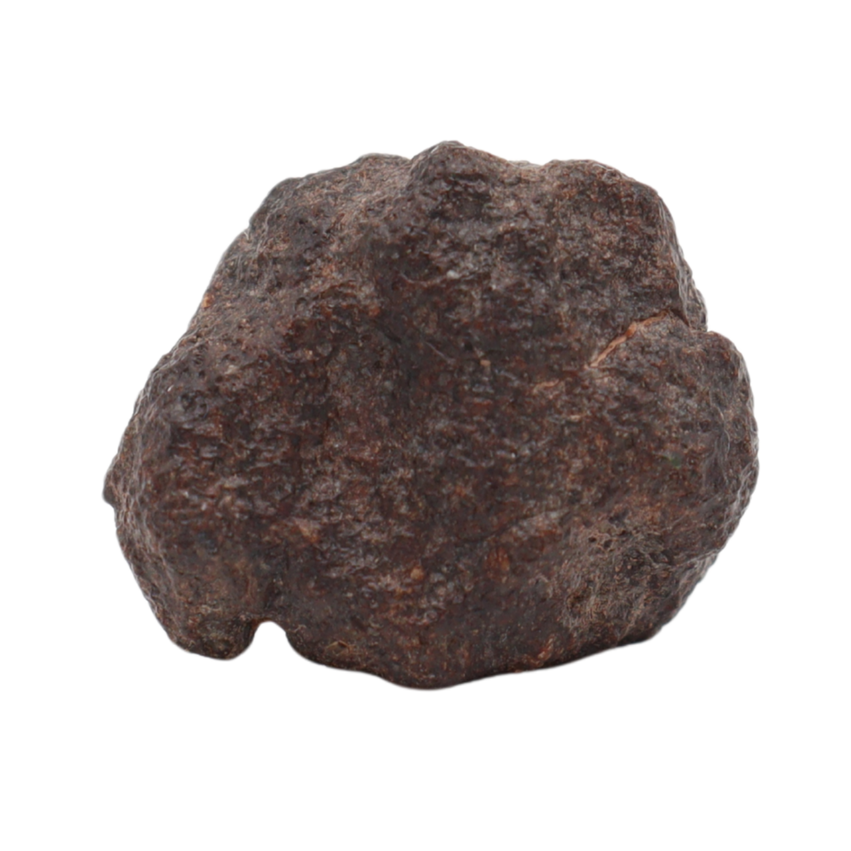 NWA 16208 Rare Primitive Achondrite Winonaite (6.6 g). - MBS meteorite 