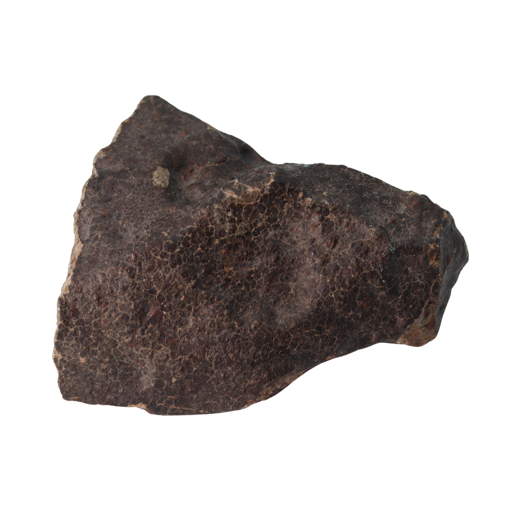 NWA 13281 Meteorite Ordinary Chondrite L5 (219 g) - MBS meteorite 