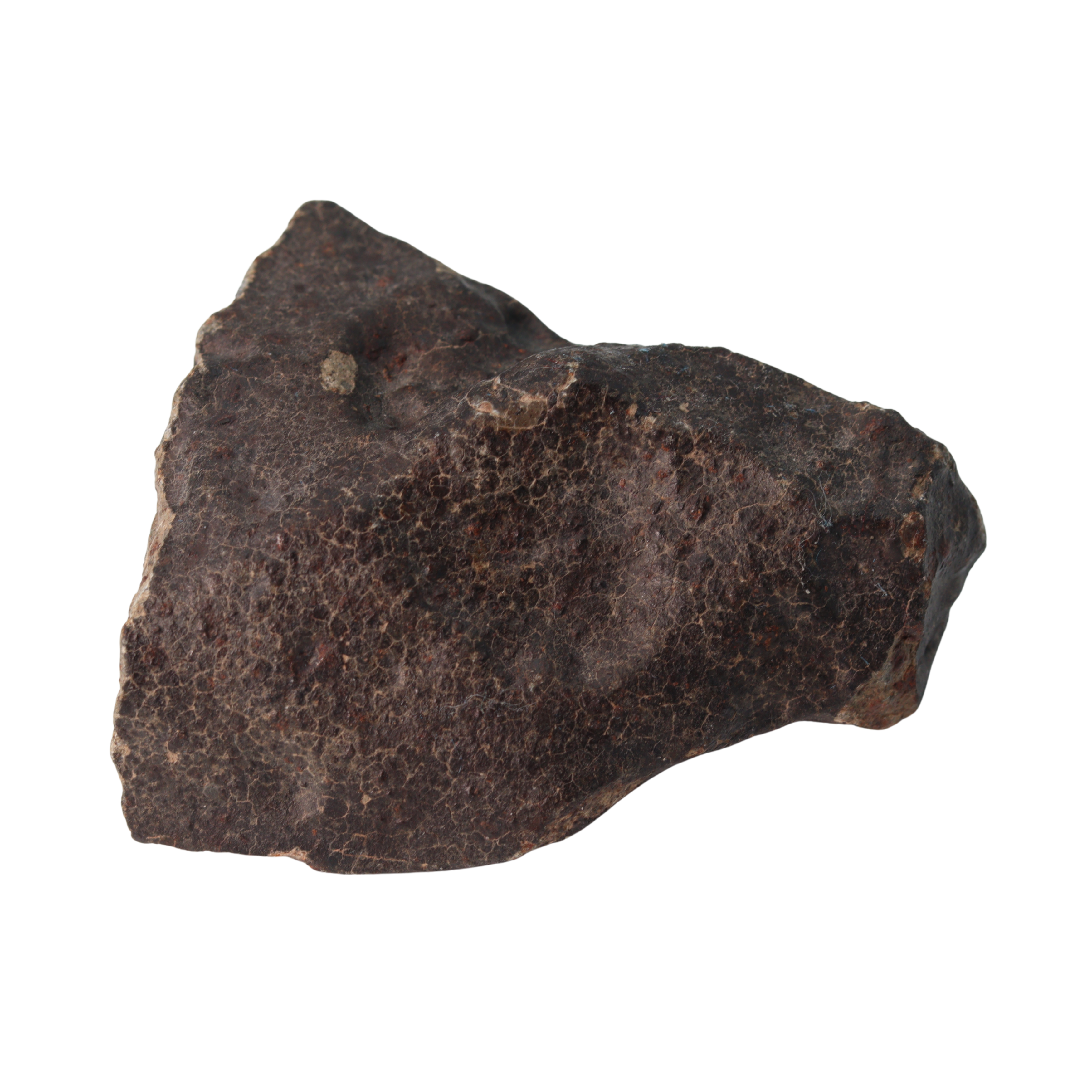 NWA 13281 Meteorite Ordinary Chondrite L5 (219 g) - MBS meteorite 
