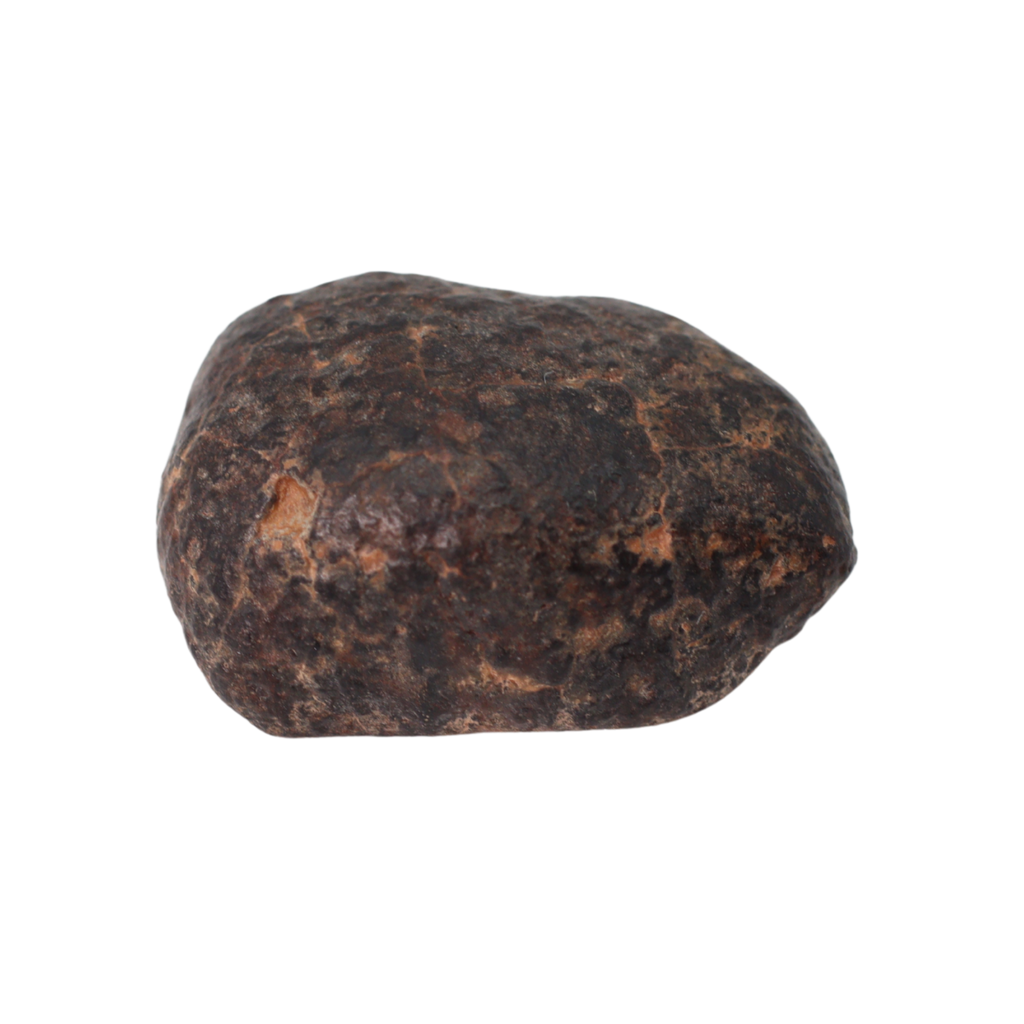 NWA 869 Meteorite Ordinary Chondrite Regolith Breccia (3.09 g) - MBS meteorite 