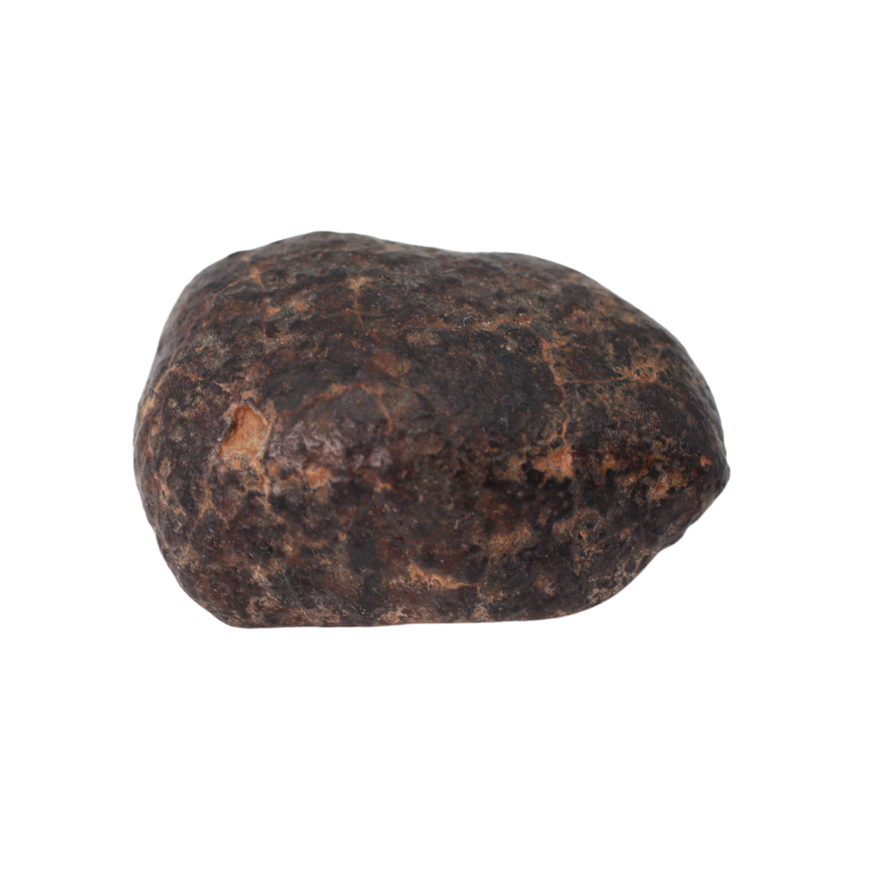 NWA 869 Meteorite Ordinary Chondrite Regolith Breccia (3.09 g) - MBS meteorite 