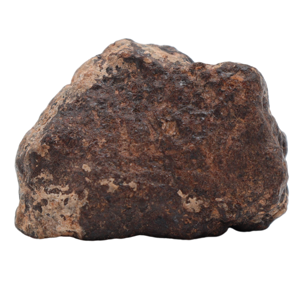 Rafsa 007 Meteorite Plutonic Angrite (11.2 g). - MBS meteorite 