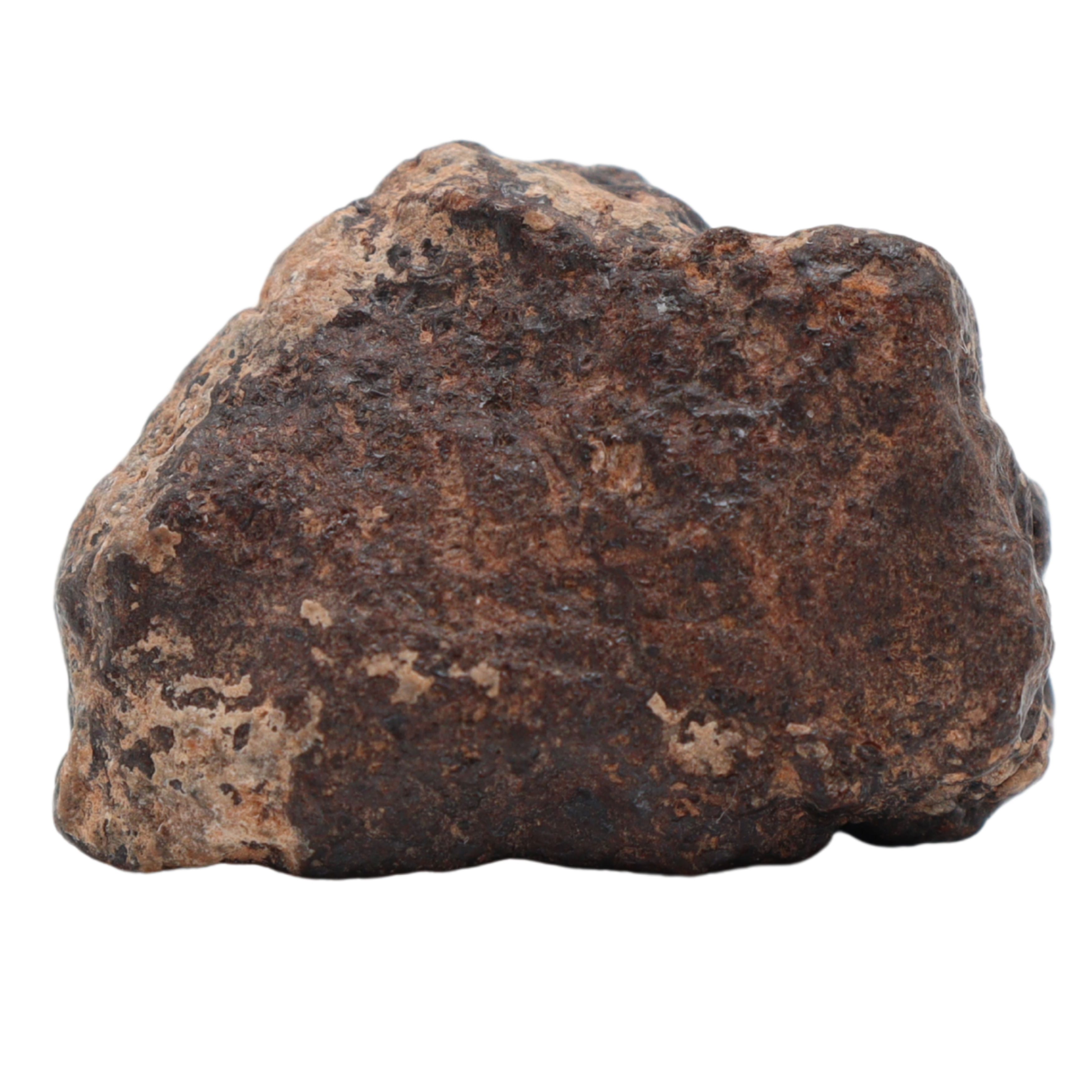Rafsa 007 Meteorite Plutonic Angrite (11.2 g). - MBS meteorite 