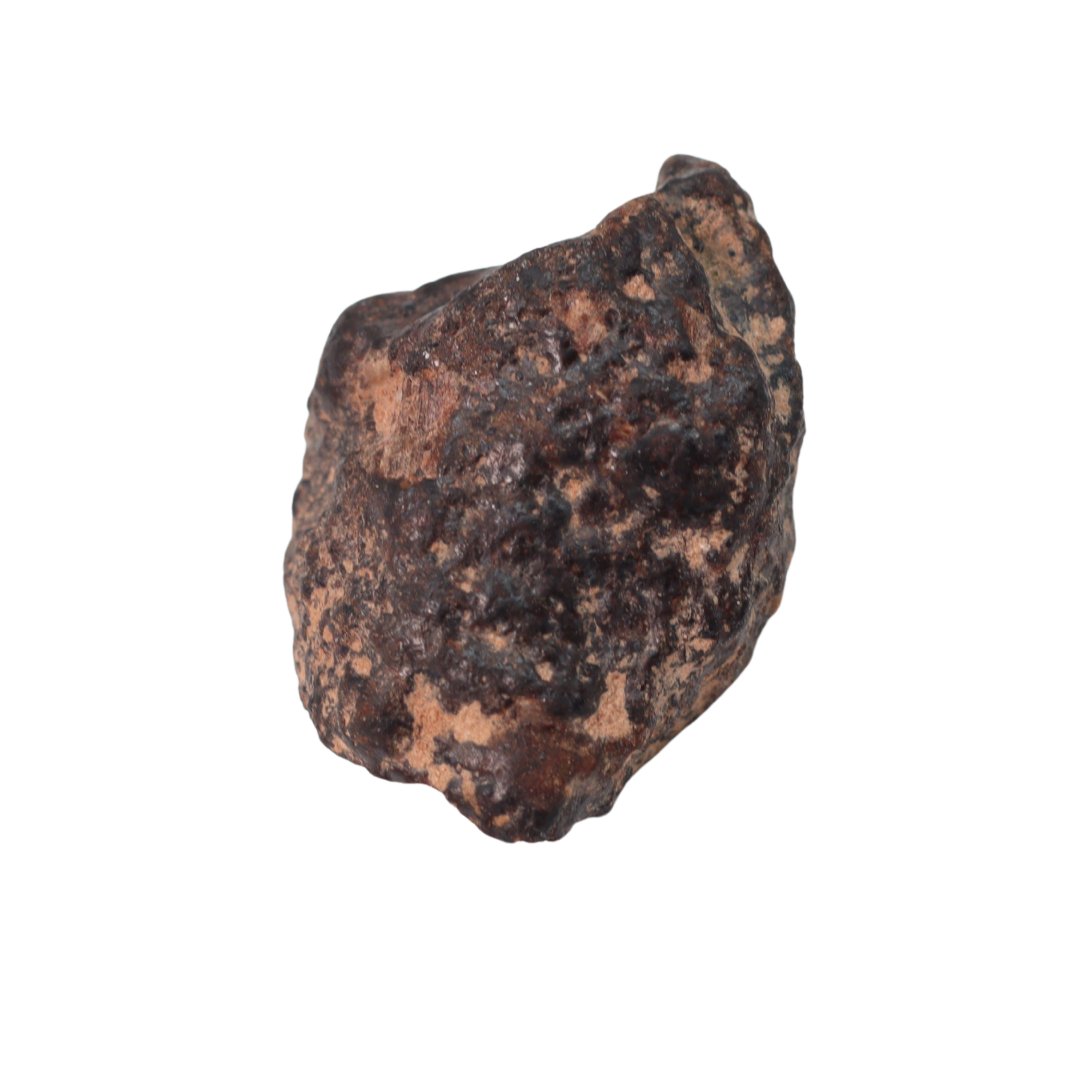 Rafsa 007 Meteorite Plutonic Angrite (3.1 g). - MBS meteorite 
