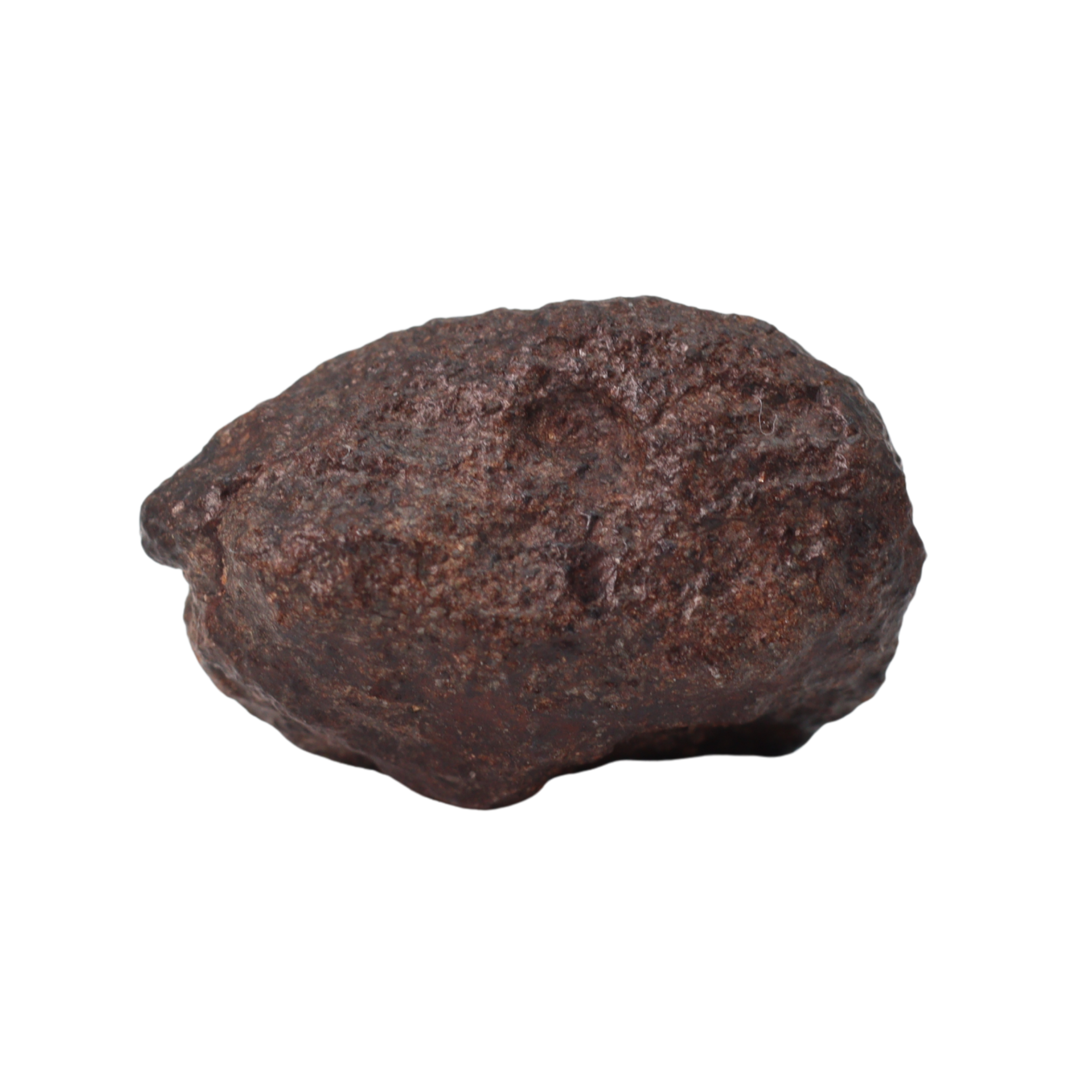 NWA 16208 Meteorite - Winonaite (4.41 g). - MBS meteorite 