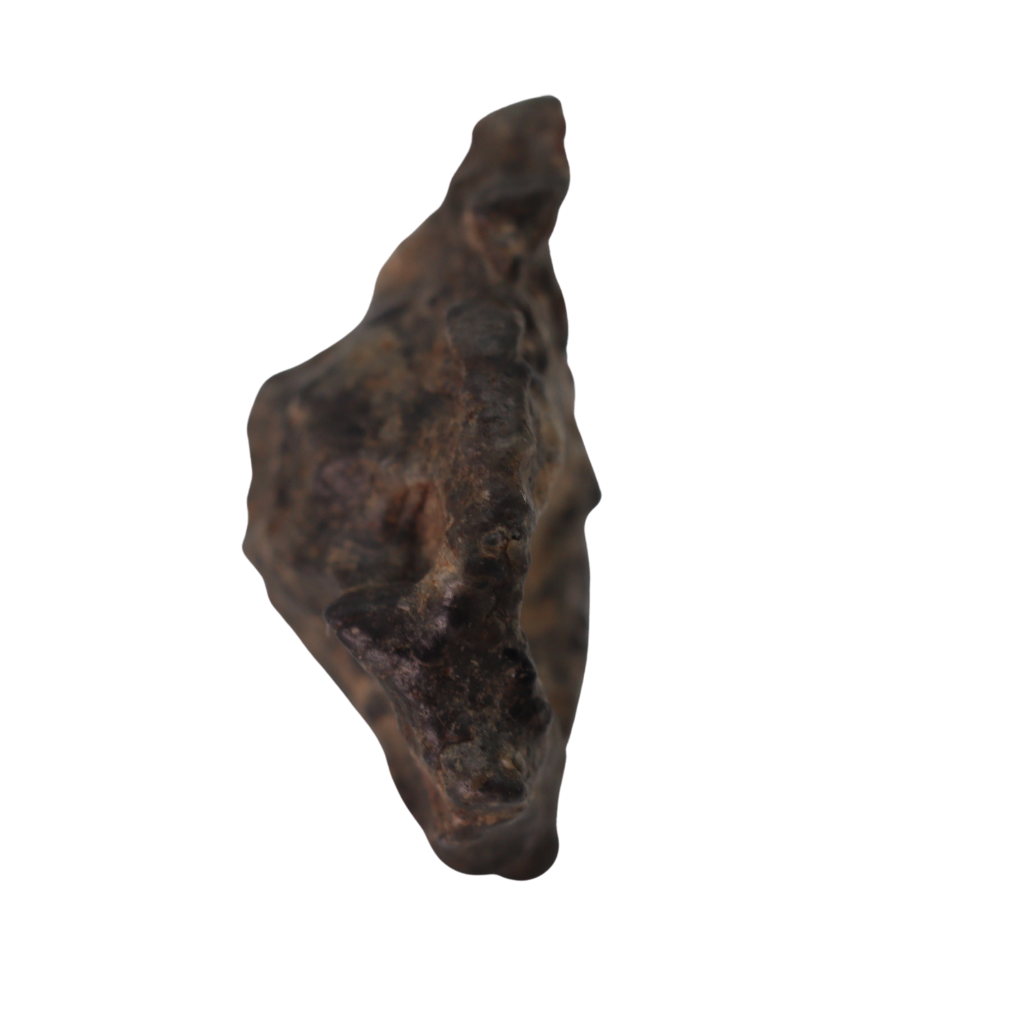 Bechar 003 Meteorite Lunar Feldspathic Breccia (2.3 g). - MBS meteorite 