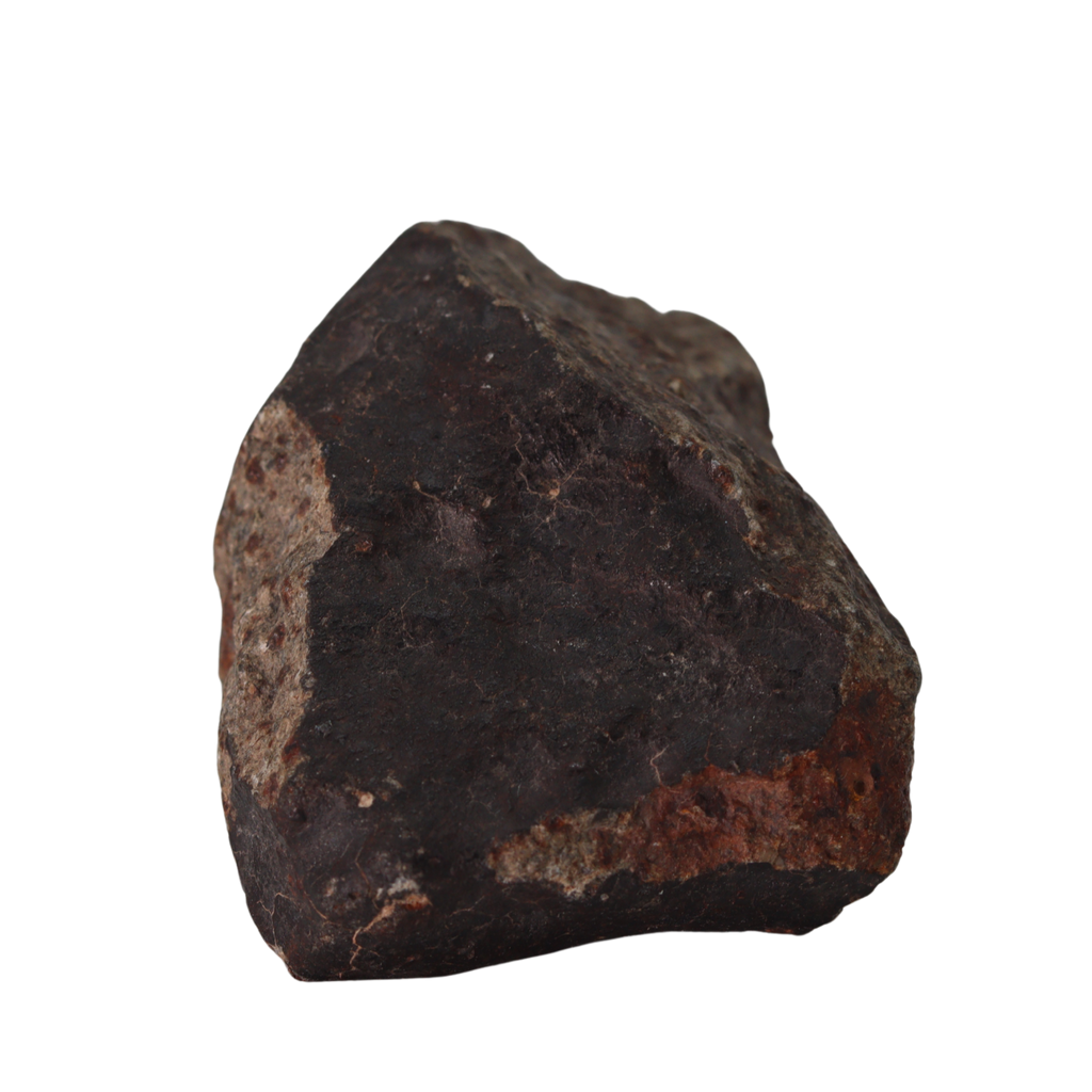 NWA 13281 Meteorite L5 Chondrite (110 g). - MBS meteorite 