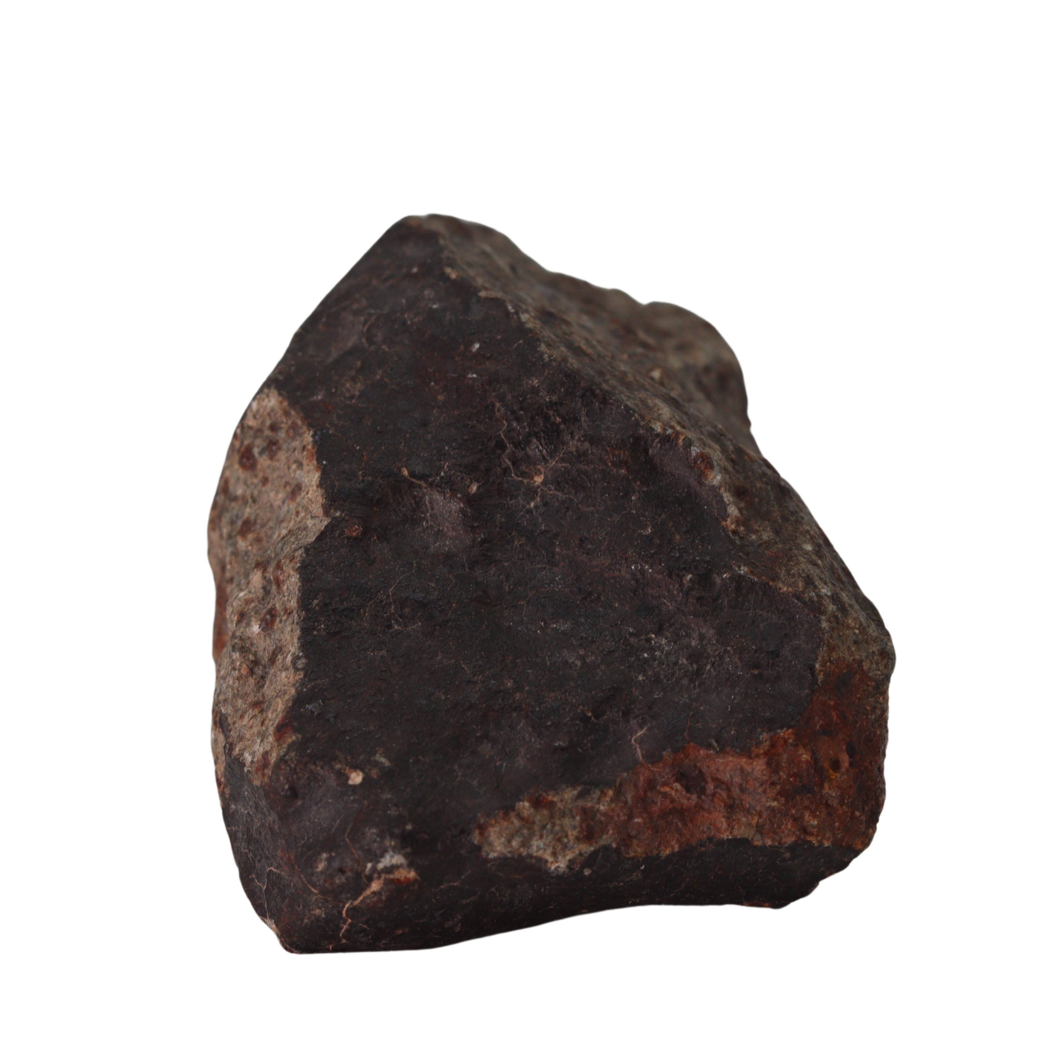 NWA 13281 Meteorite L5 Chondrite (110 g). - MBS meteorite 