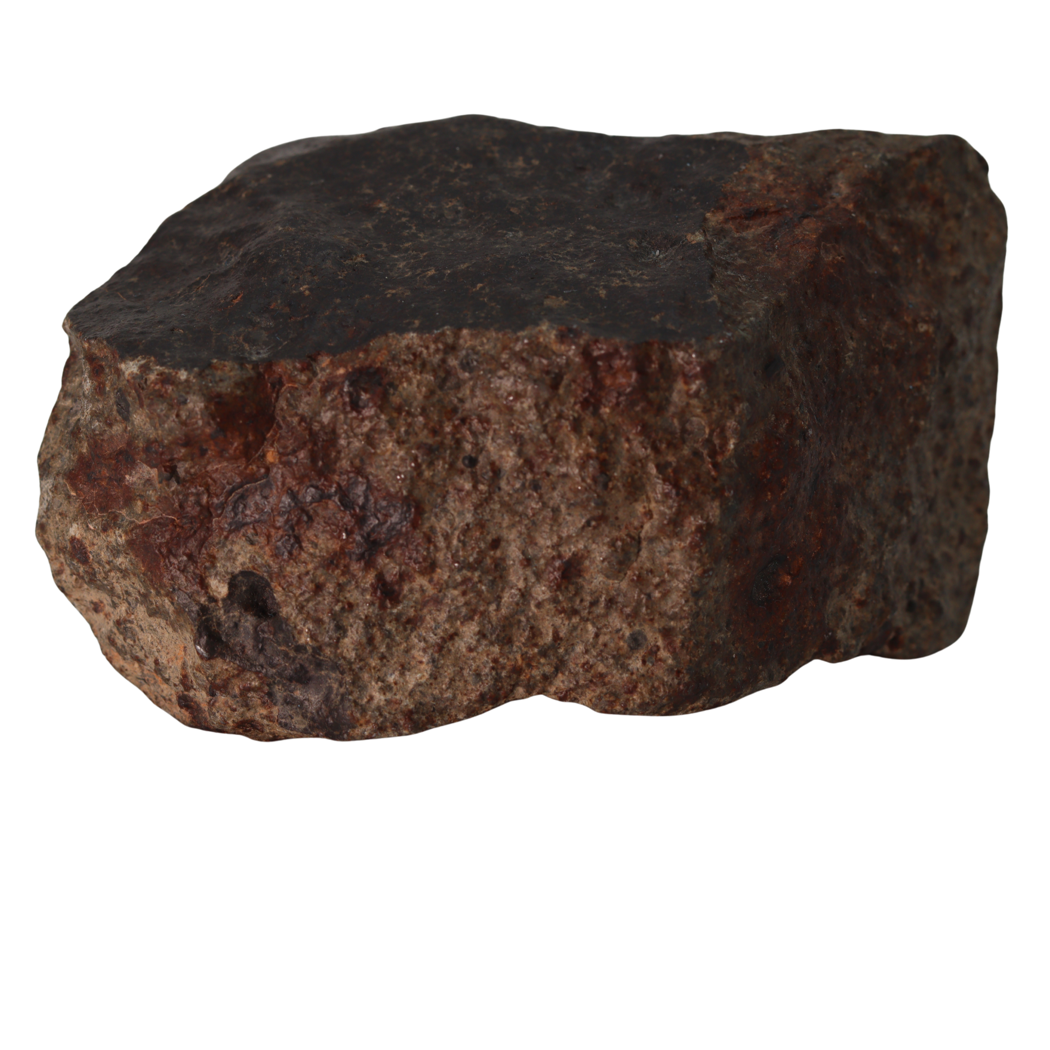 NWA 13281 Meteorite Massive L5 Chondrite Cabinet Specimen (781 g). - MBS meteorite 