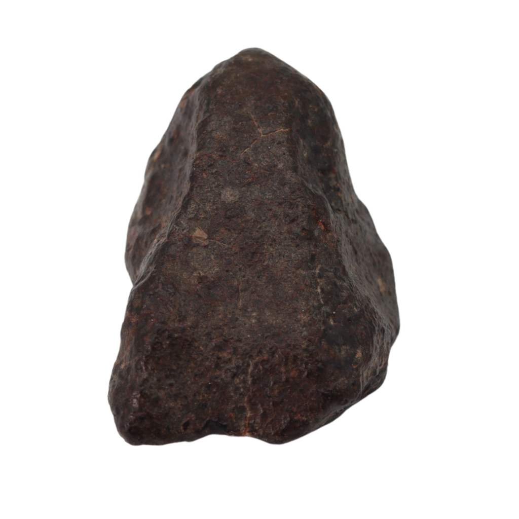 NWA 869 Meteorite Ordinary Chondrite Regolith Breccia (24.00 g). - MBS meteorite 