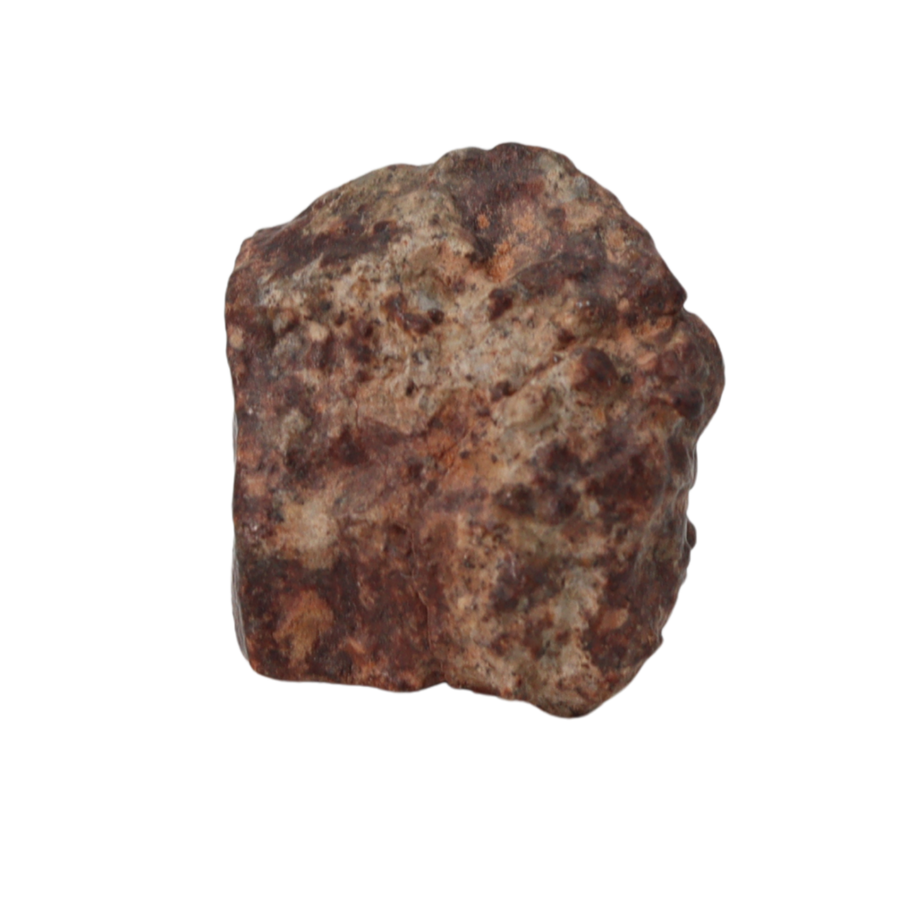 NWA 869 Meteorite Ordinary Chondrite Regolith Breccia (8.64 g) - MBS meteorite 