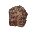 NWA 869 Meteorite Ordinary Chondrite Regolith Breccia (8.64 g) - MBS meteorite 