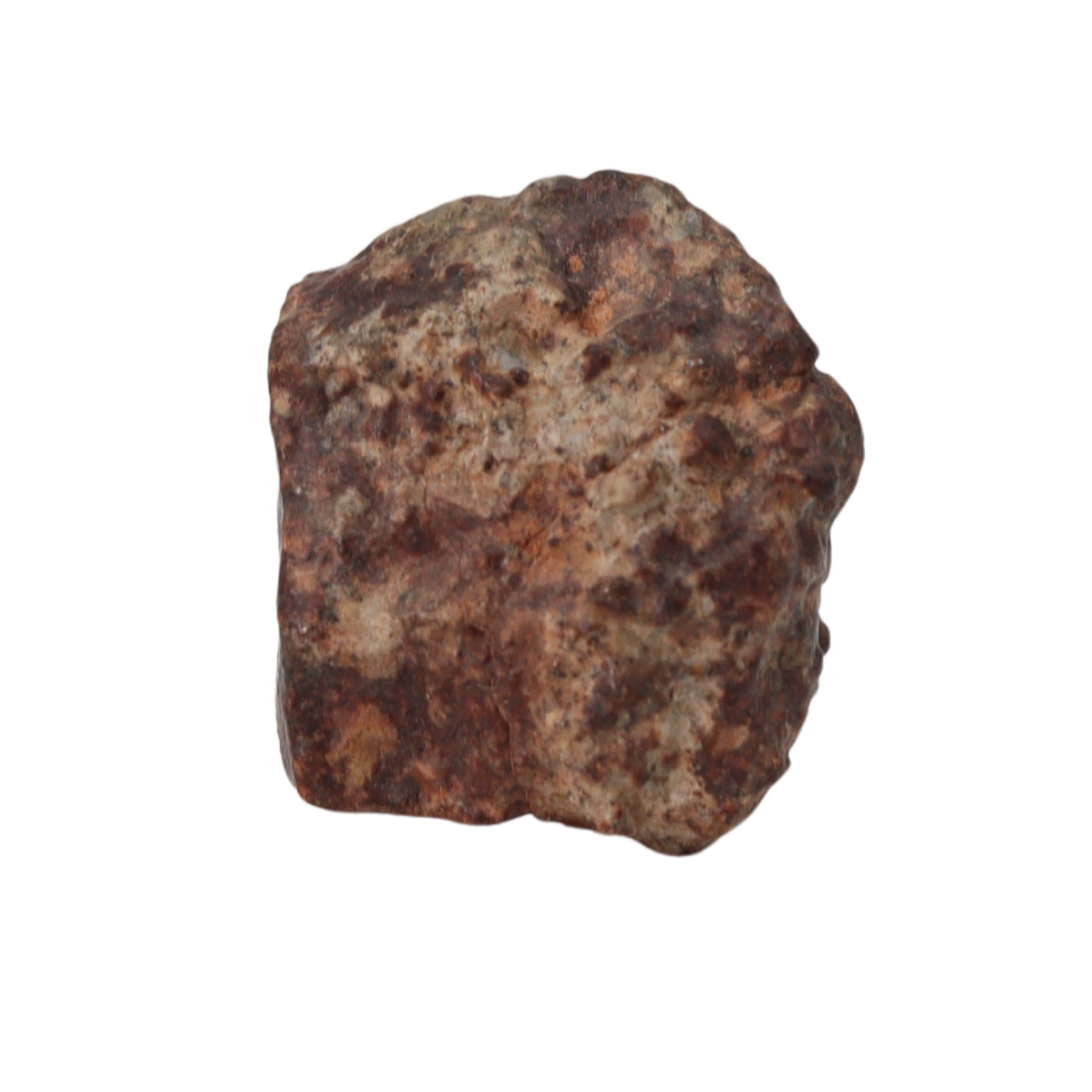 NWA 869 Meteorite Ordinary Chondrite Regolith Breccia (8.64 g) - MBS meteorite 