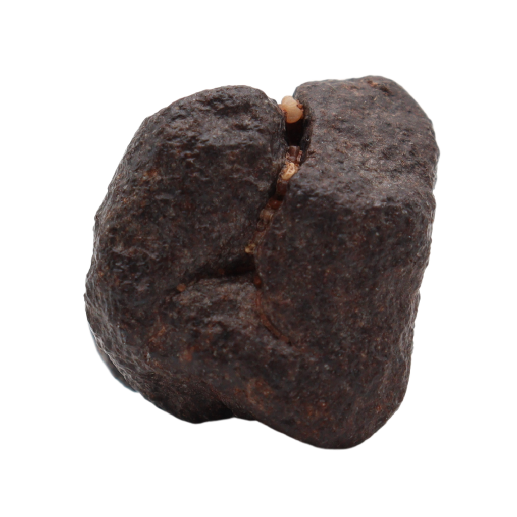 NWA 16208 Meteorite Winonaite Primitive Achondrite (8.66 g). - MBS meteorite 