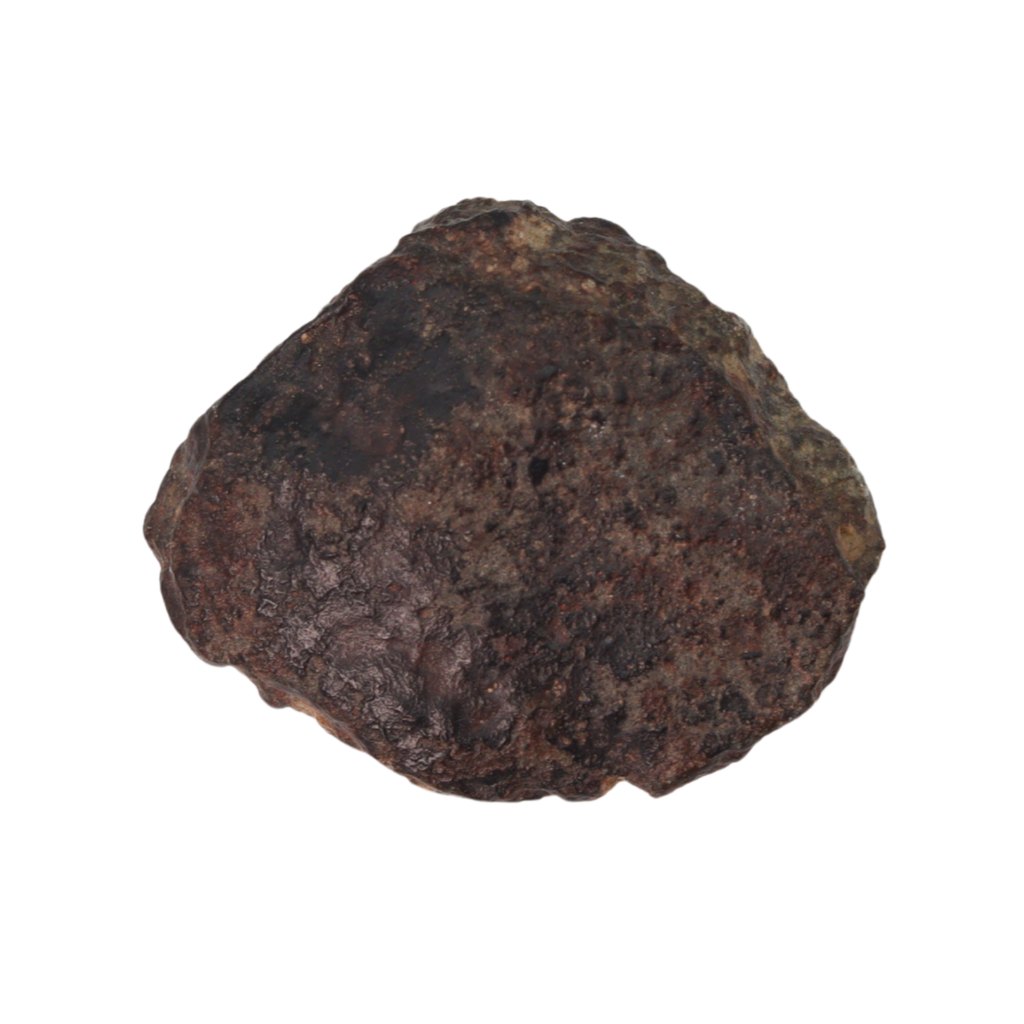 NWA 869 Meteorite Ordinary Chondrite Regolith Breccia (4.4 g) - MBS meteorite 