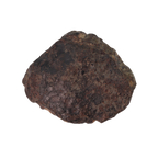 NWA 869 Meteorite Ordinary Chondrite Regolith Breccia (4.4 g) - MBS meteorite 