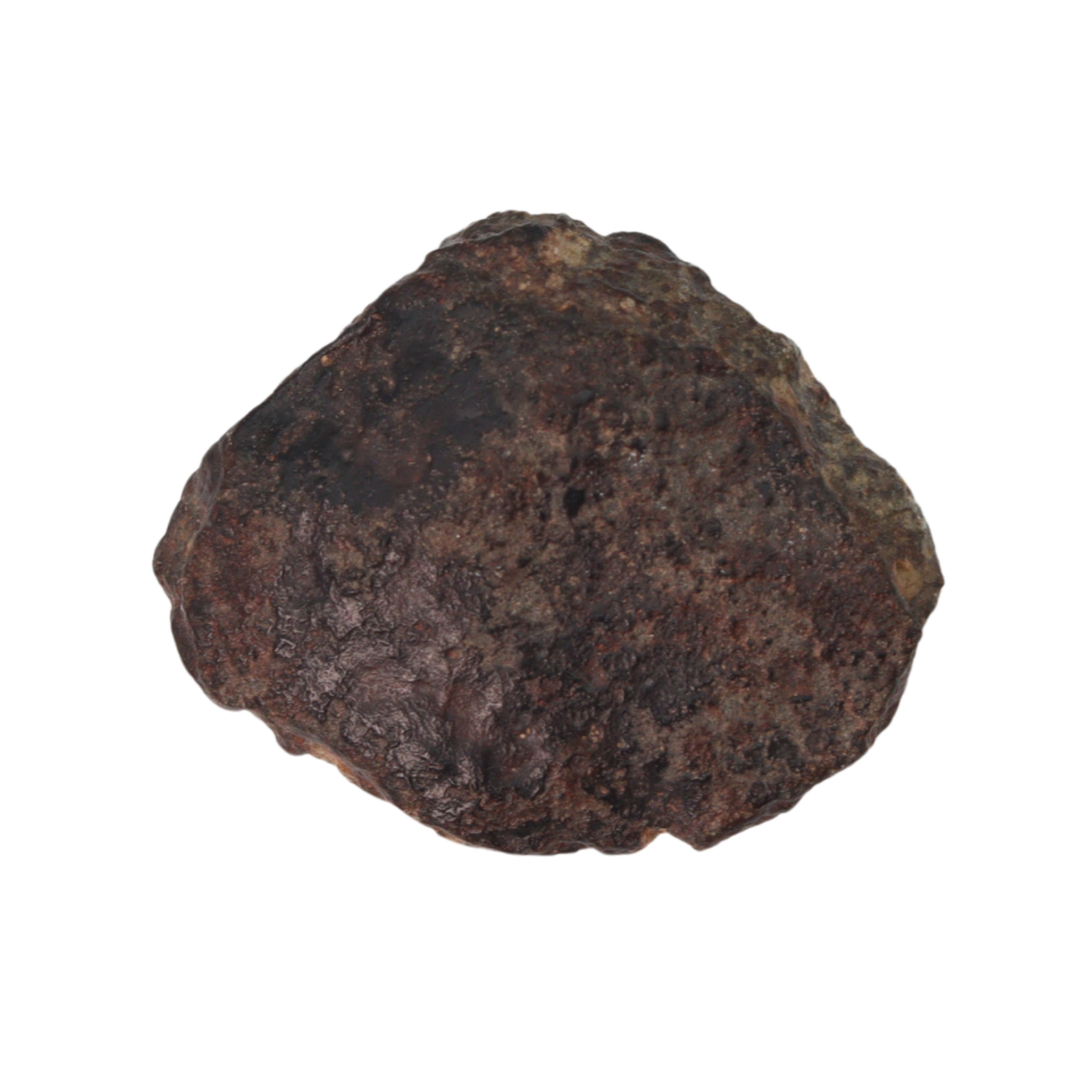 NWA 869 Meteorite Ordinary Chondrite Regolith Breccia (4.4 g) - MBS meteorite 