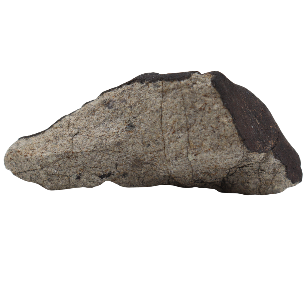 Tanezrouft 090 Meteorite Ordinary Chondrite L 103.46 g - MBS meteorite 