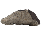 Tanezrouft 090 Meteorite Ordinary Chondrite L 103.46 g - MBS meteorite 