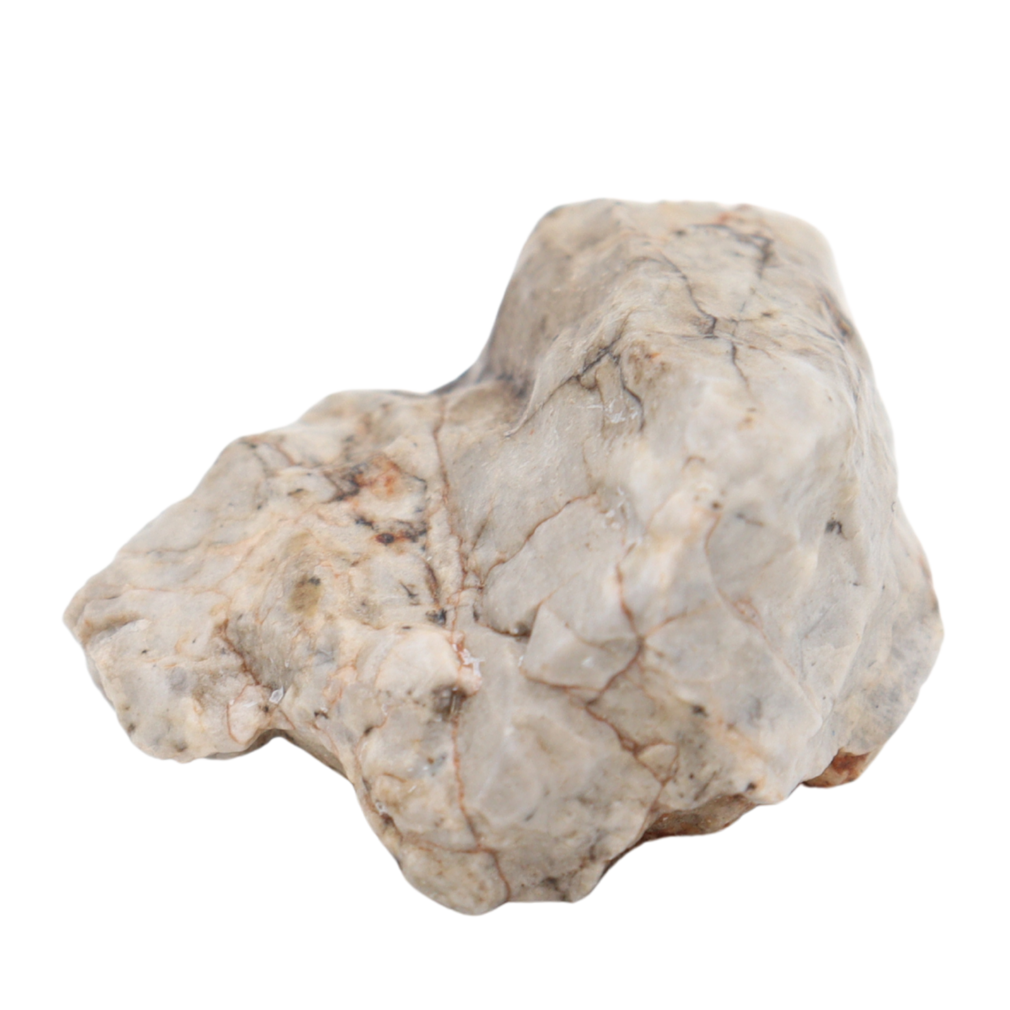 Djoua 001 Meteorite Aubrite Enstatite Achondrite (12.1 g). - MBS meteorite 