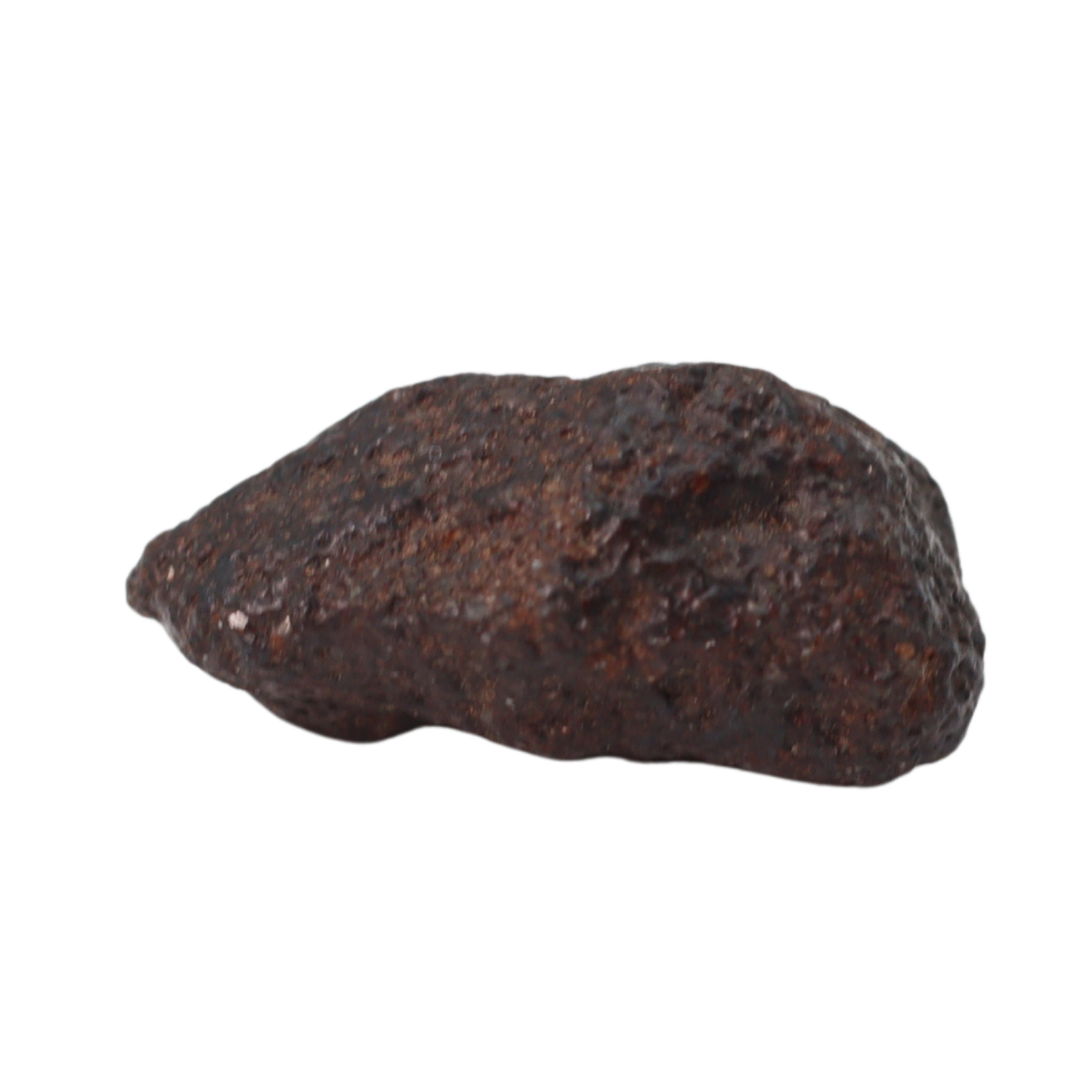 NWA 16208 Meteorite Winonaite Primitive Achondrite (1 g). - MBS meteorite 