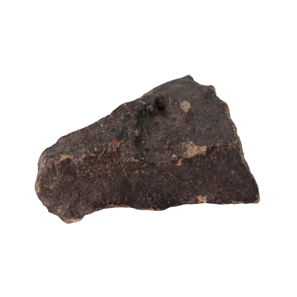NWA 13281 Meteorite Ordinary Chondrite L5 (219 g) - MBS meteorite 