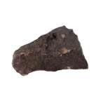 NWA 13281 Meteorite Ordinary Chondrite L5 (219 g) - MBS meteorite 