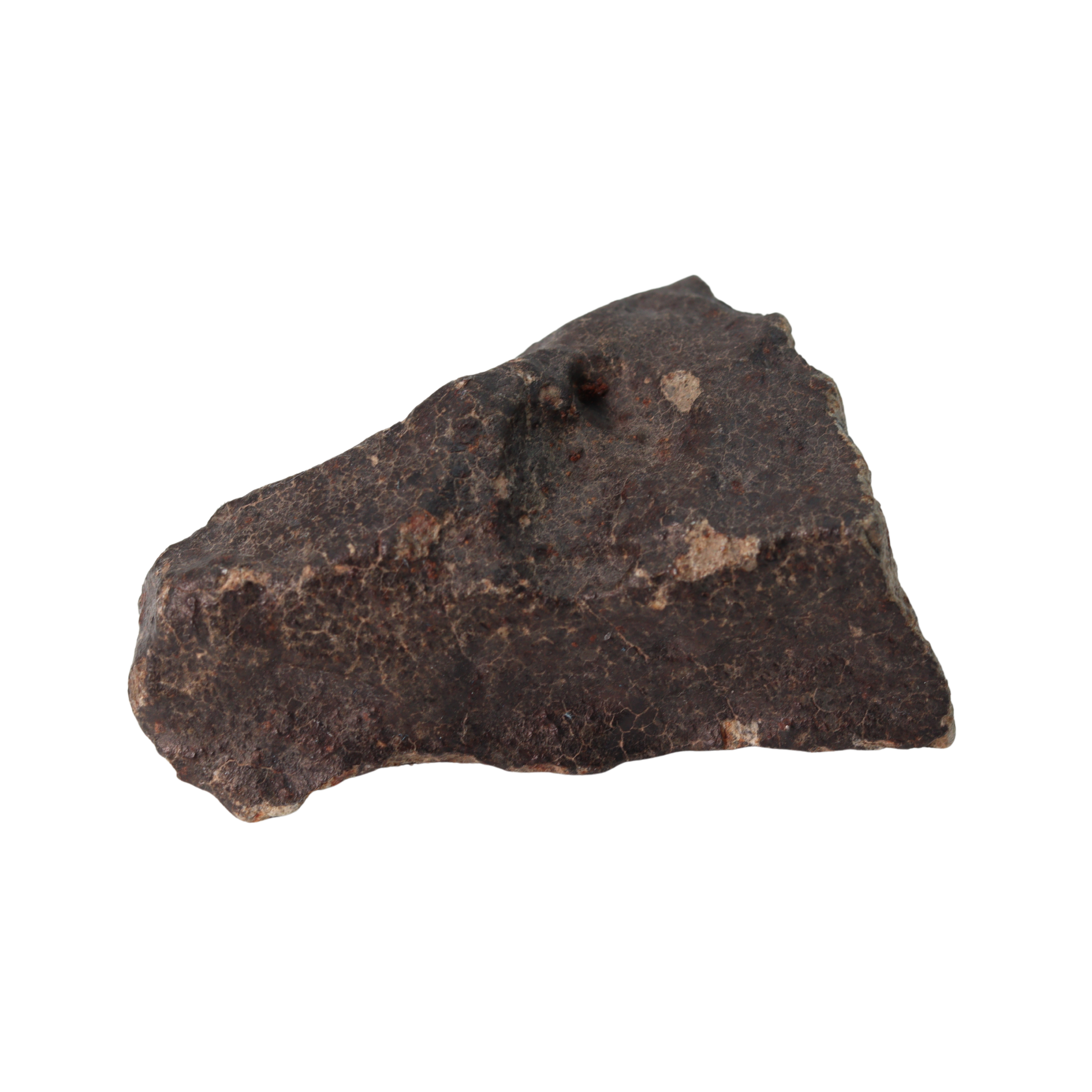 NWA 13281 Meteorite Ordinary Chondrite L5 (219 g) - MBS meteorite 