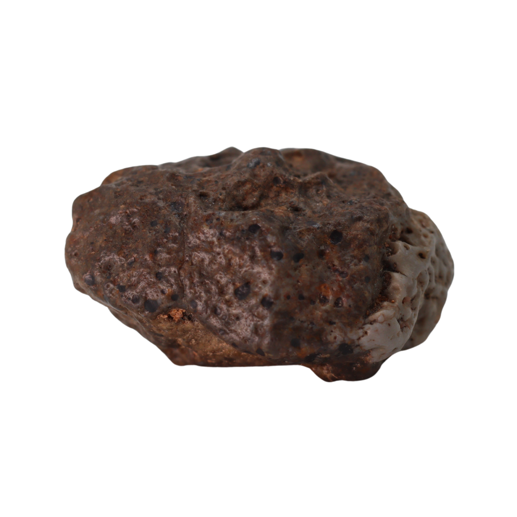 Bechar 003 Meteorite Lunar Feldspathic Breccia (4.77 g). - MBS meteorite 