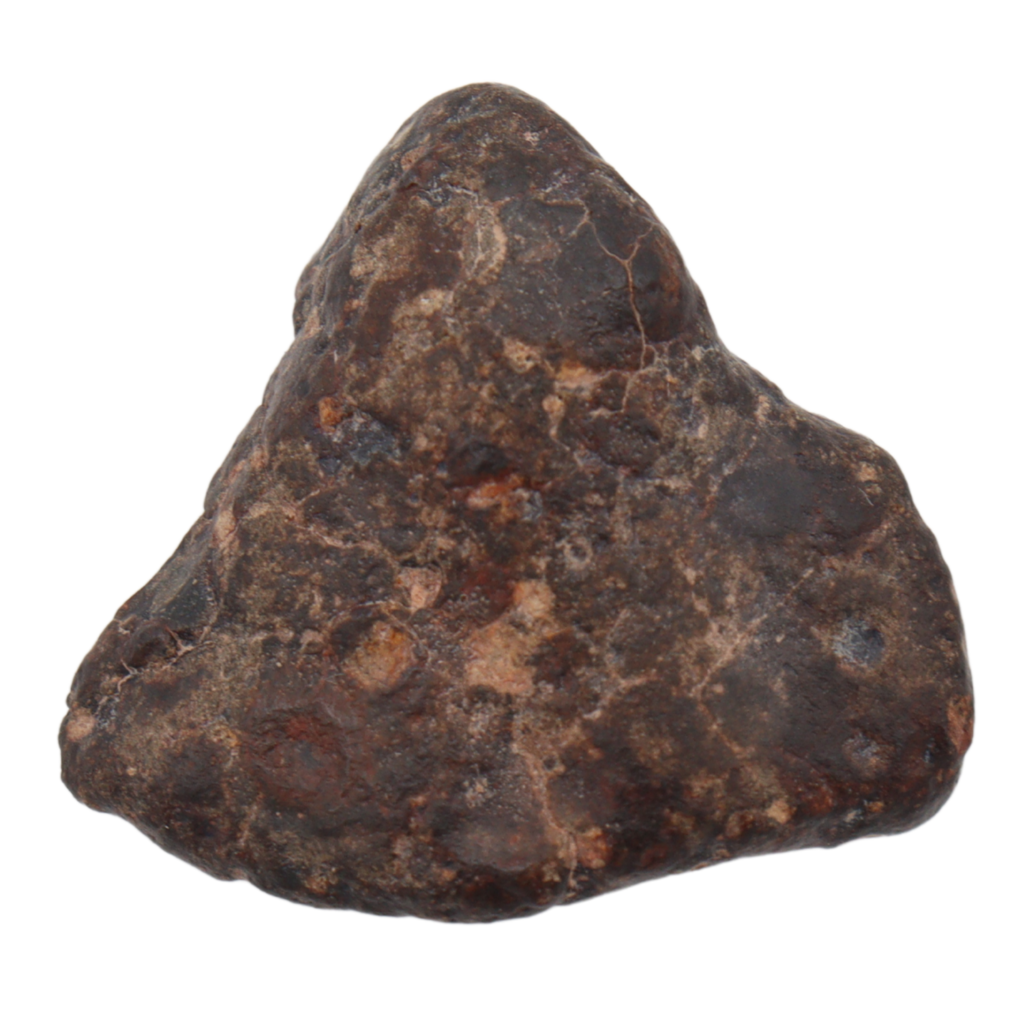 Erg Chech 008 Meteorite CR2 Carbonaceous Chondrite (10.8 g). - MBS meteorite 