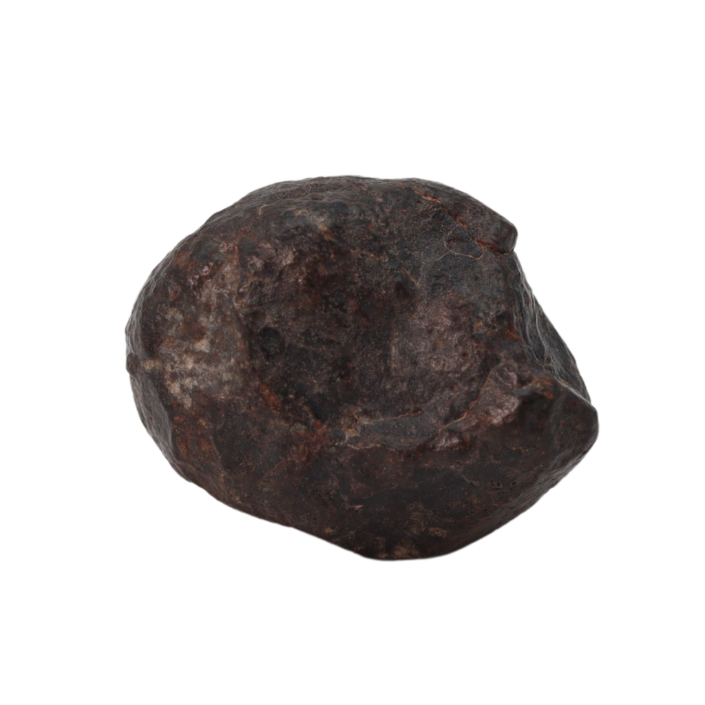 NWA 869 Meteorite Ordinary Chondrite Regolith Breccia (10.78 g) - MBS meteorite 