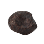 NWA 869 Meteorite Ordinary Chondrite Regolith Breccia (10.78 g) - MBS meteorite 