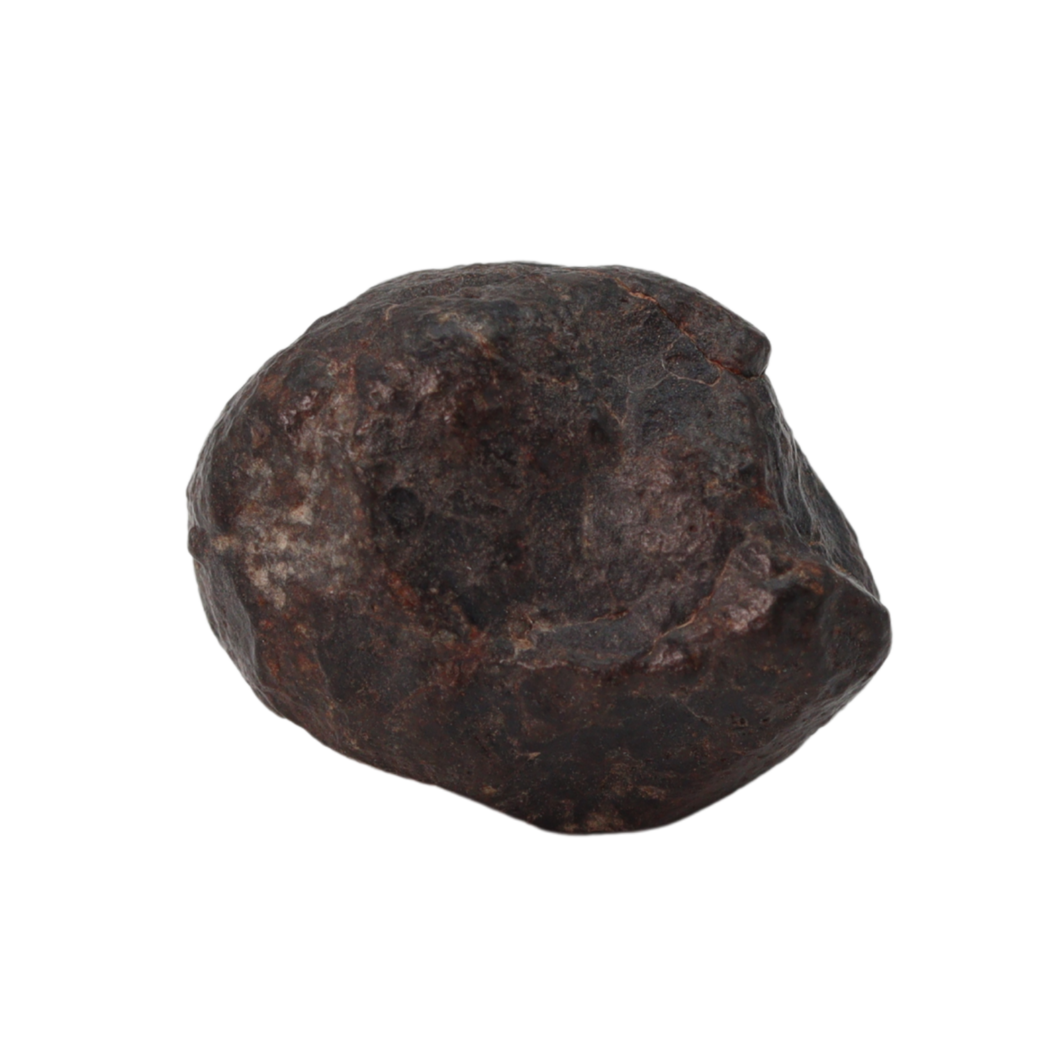 NWA 869 Meteorite Ordinary Chondrite Regolith Breccia (10.78 g) - MBS meteorite 