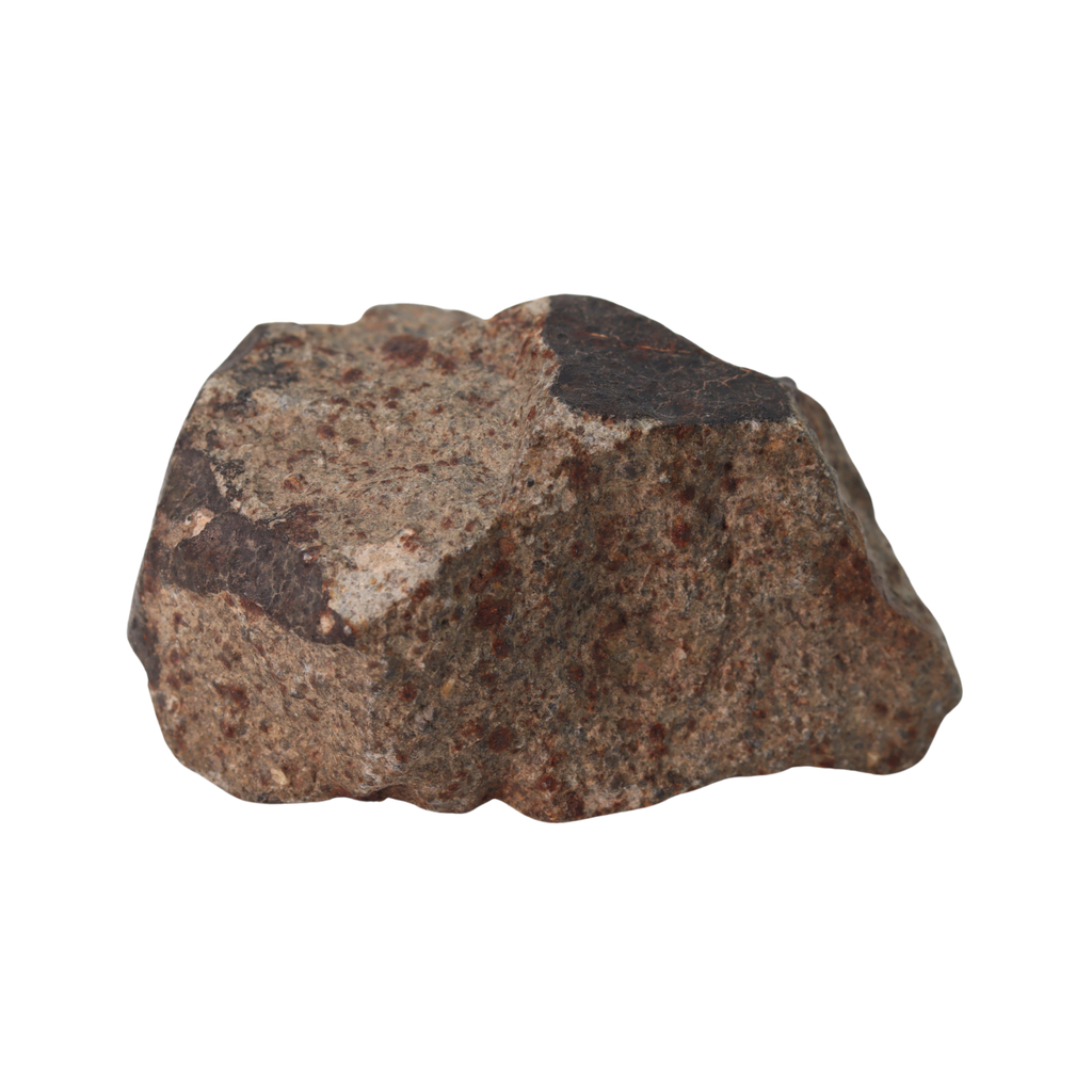NWA 13281 Meteorite Ordinary Chondrite L5 (145 g) - MBS meteorite 