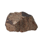 NWA 13281 Meteorite Ordinary Chondrite L5 (145 g) - MBS meteorite 