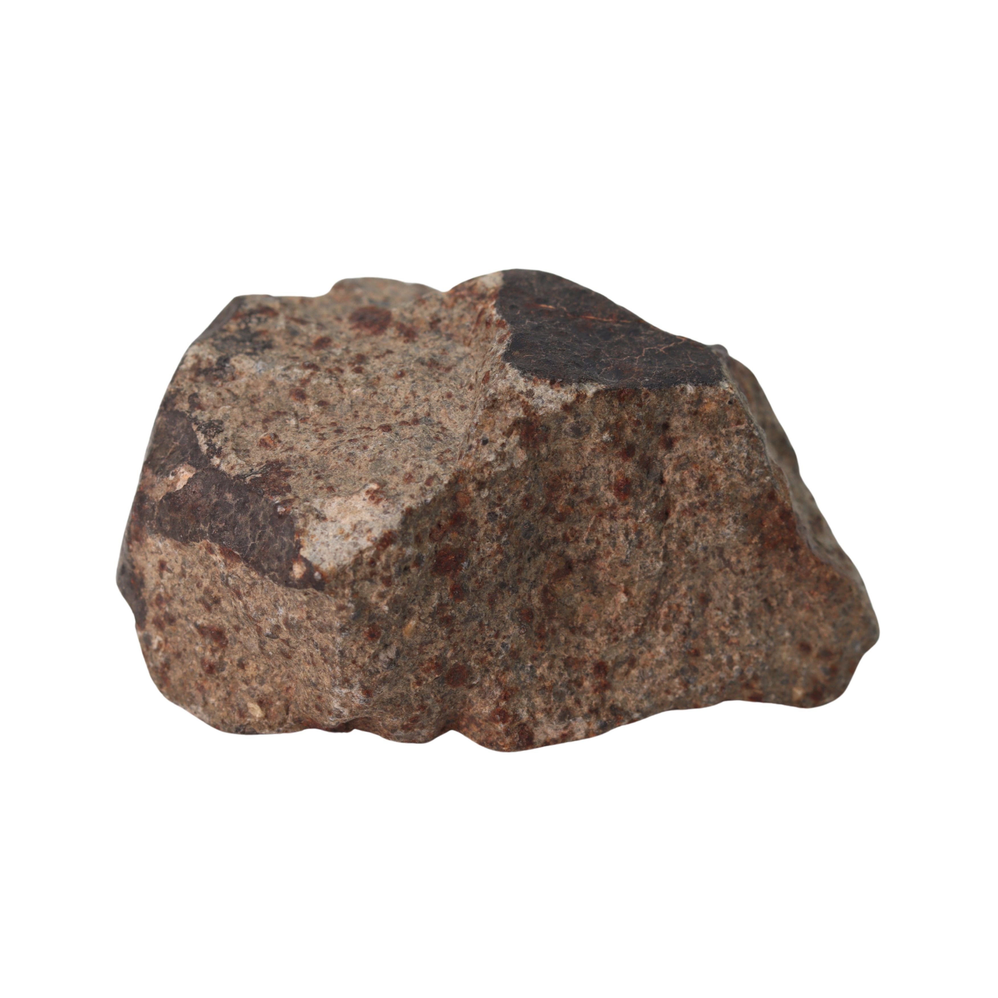 NWA 13281 Meteorite Ordinary Chondrite L5 (145 g) - MBS meteorite 