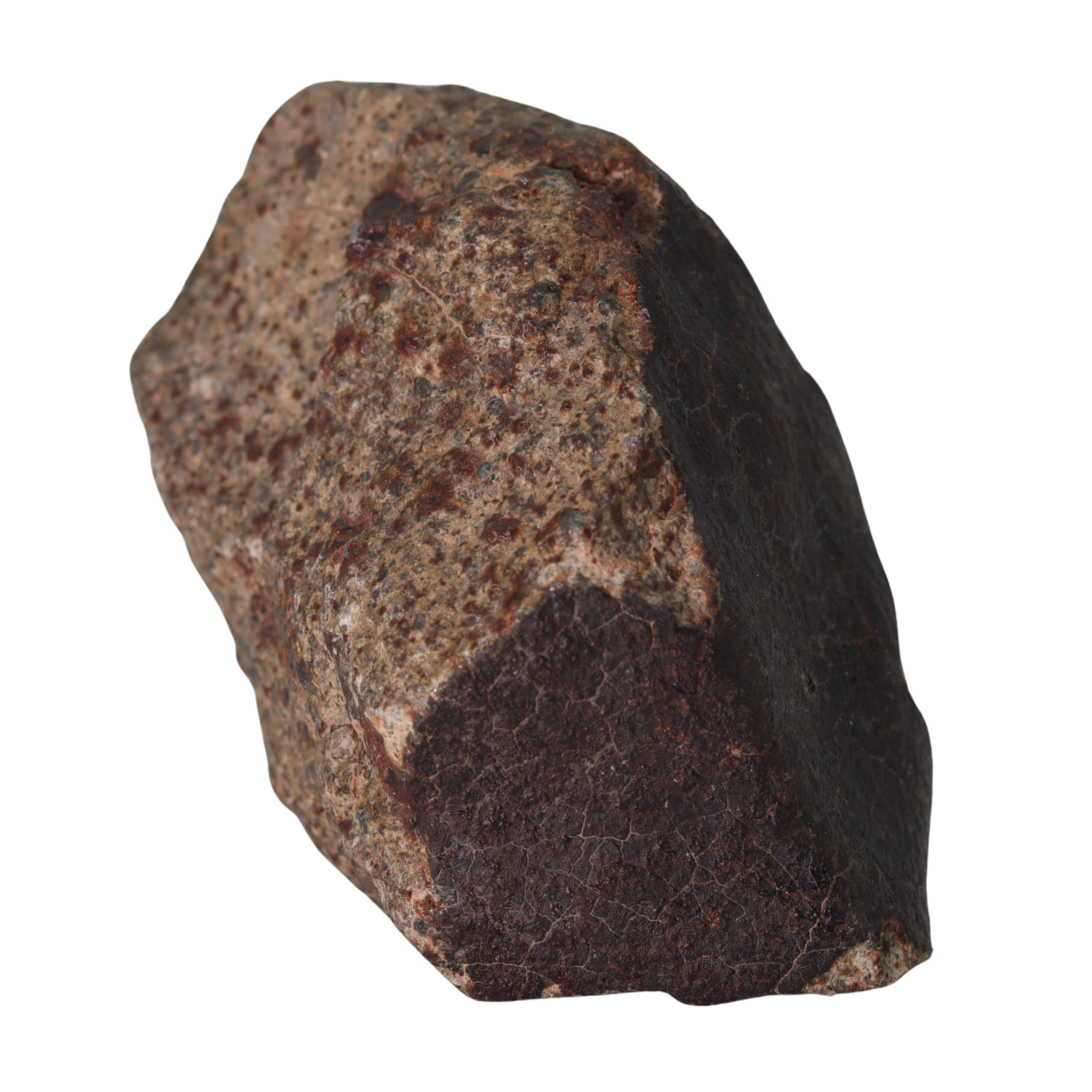 NWA 13281 Meteorite L5 Chondrite (165 g). - MBS meteorite 