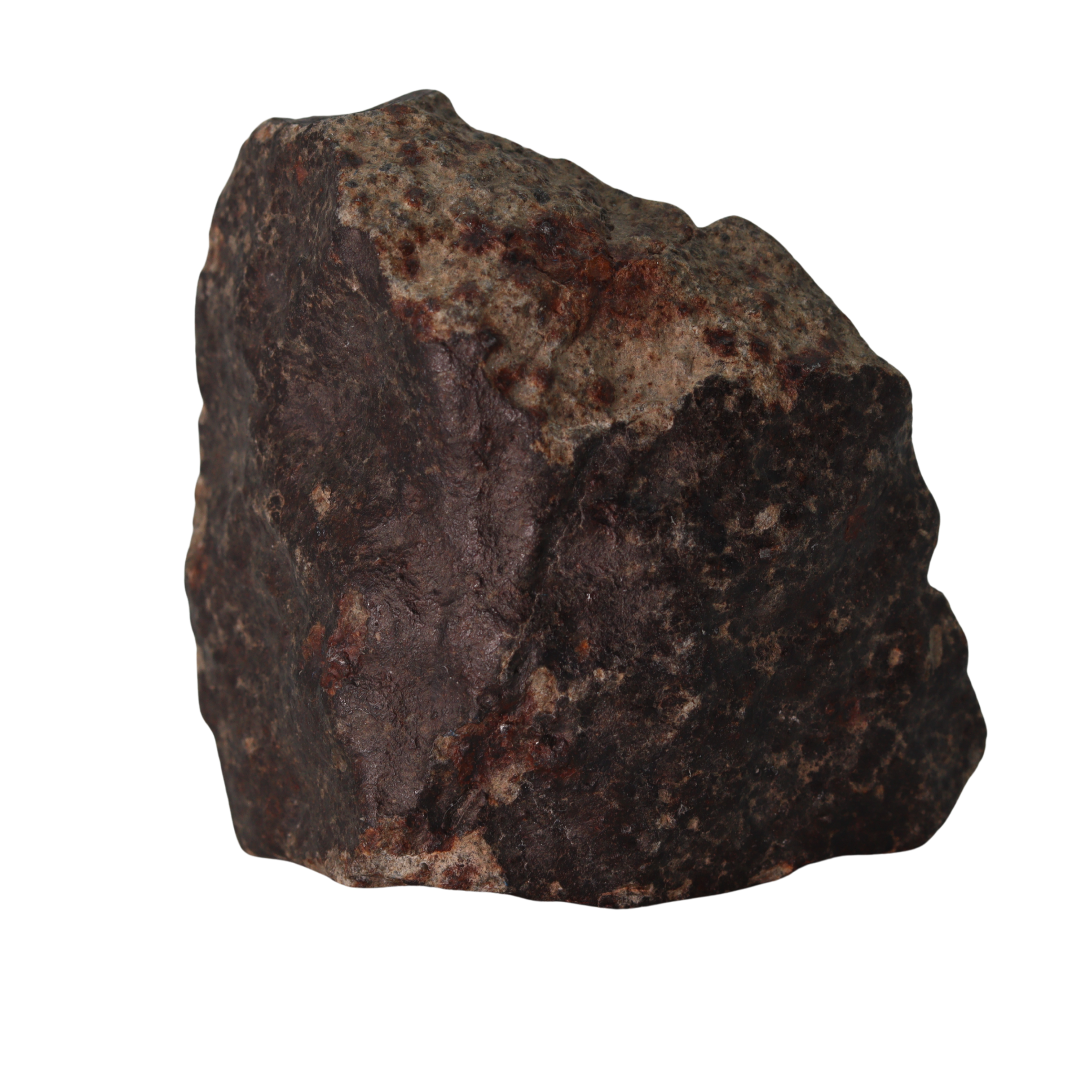 NWA 13281 Meteorite L5 Chondrite with Fusion Crust (175 g). - MBS meteorite 