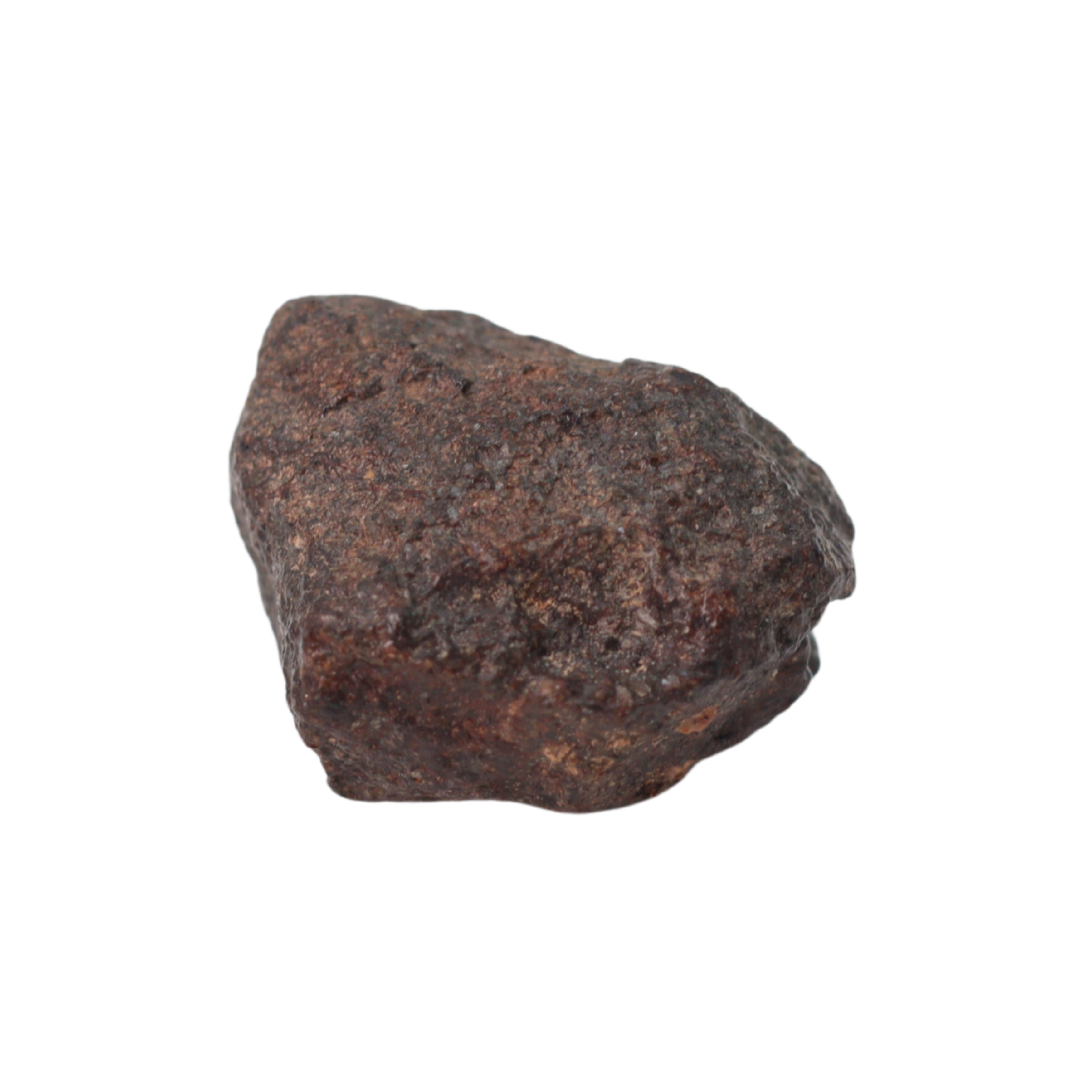 NWA 16208 Meteorite Winonaite Primitive Achondrite (1.58 g). - MBS meteorite 