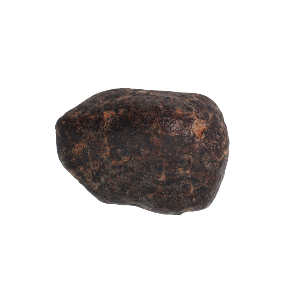 NWA 869 Meteorite Ordinary Chondrite Regolith Breccia (3.09 g) - MBS meteorite 