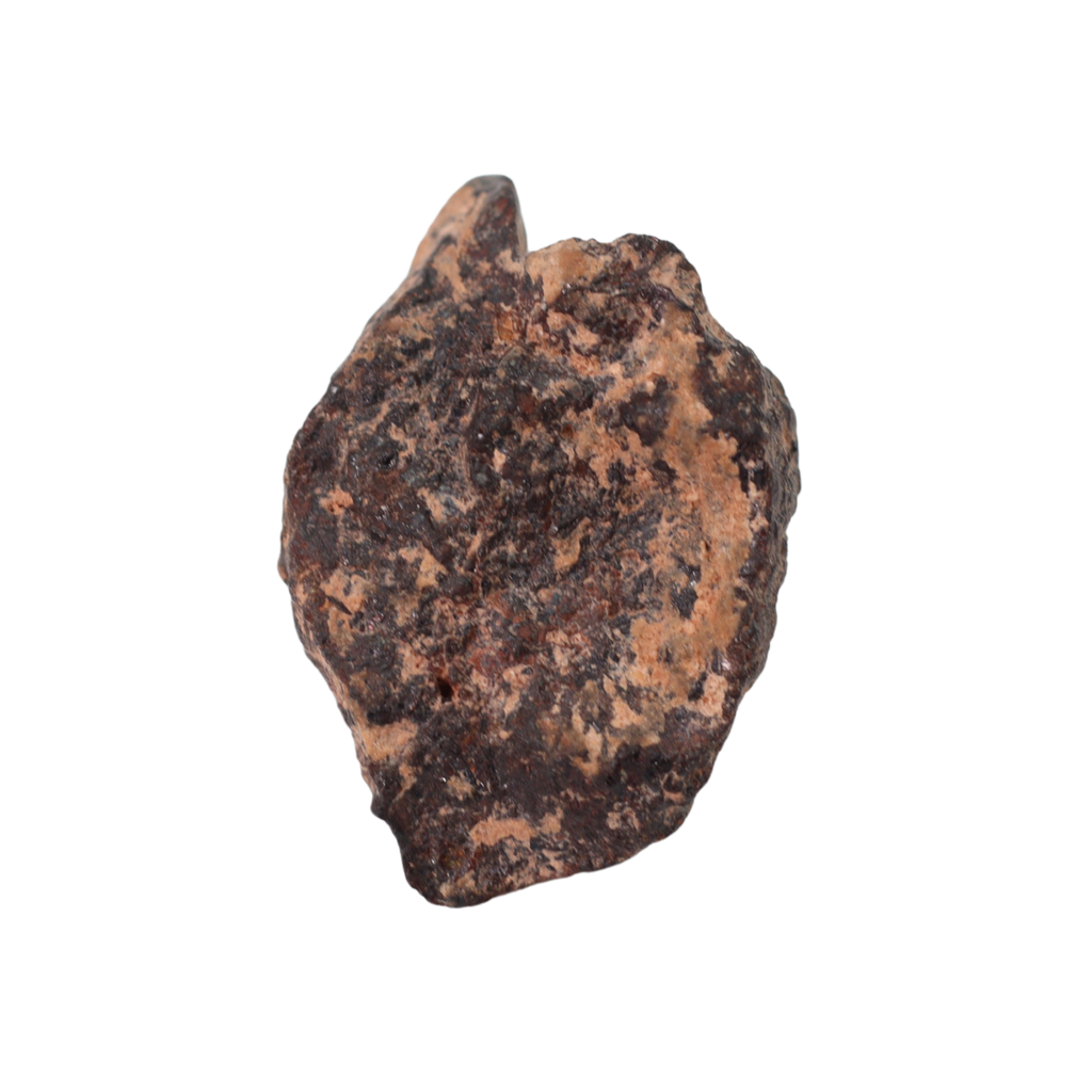 Rafsa 007 Meteorite Plutonic Angrite (3.1 g). - MBS meteorite 