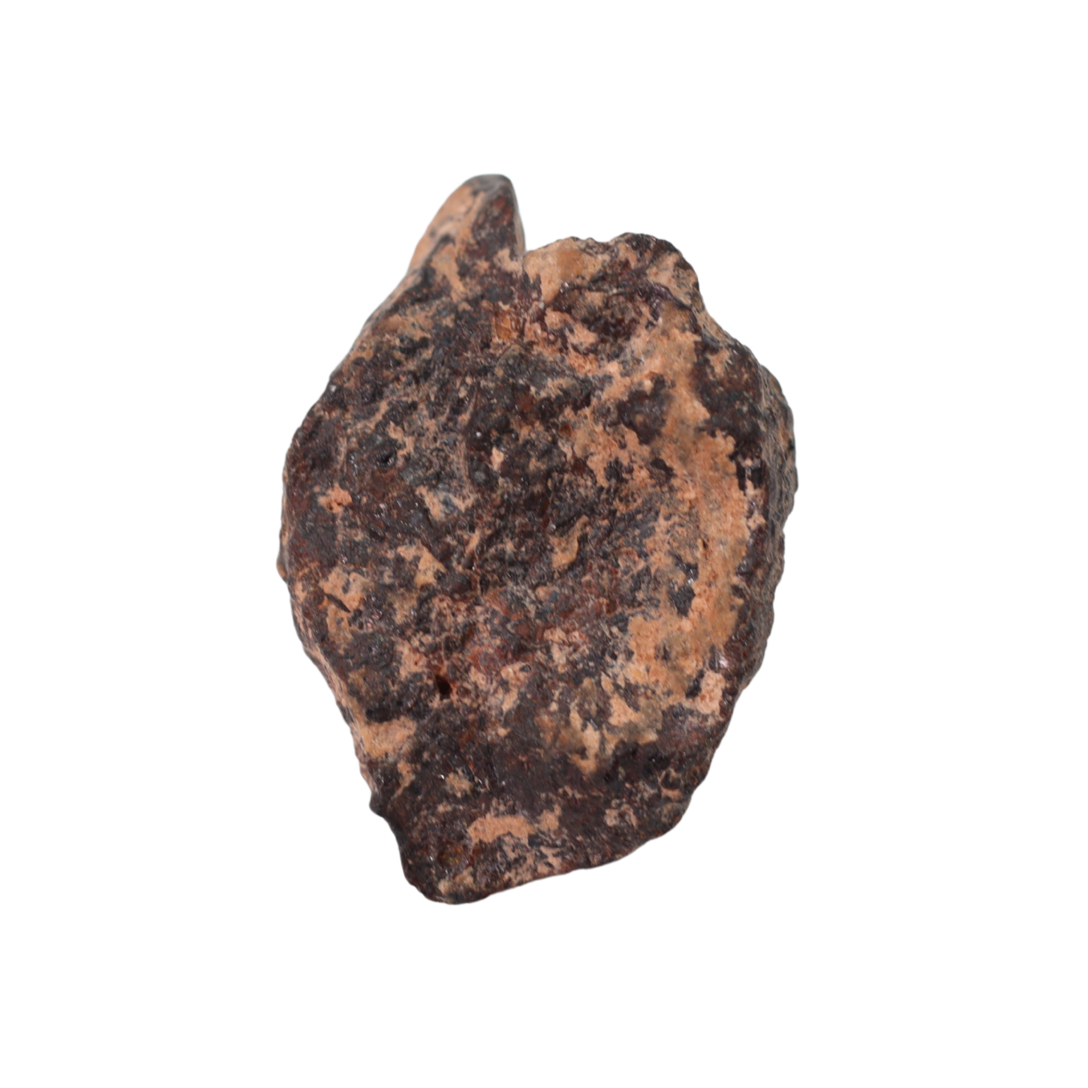 Rafsa 007 Meteorite Plutonic Angrite (3.1 g). - MBS meteorite 