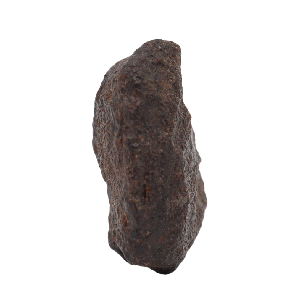 NWA 16208 Meteorite Winonaite Primitive Achondrite(14.2 g). - MBS meteorite 