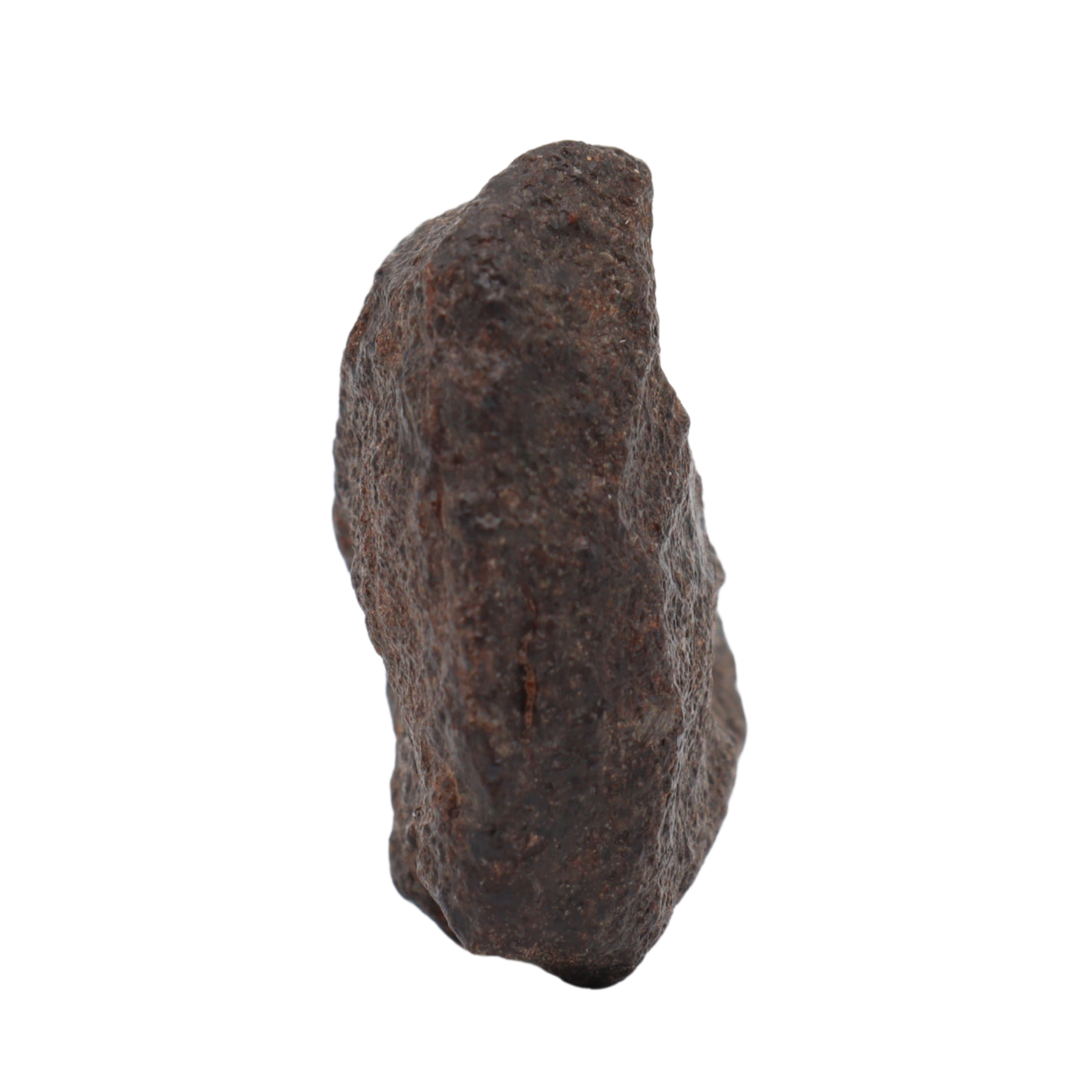 NWA 16208 Meteorite Winonaite Primitive Achondrite(14.2 g). - MBS meteorite 