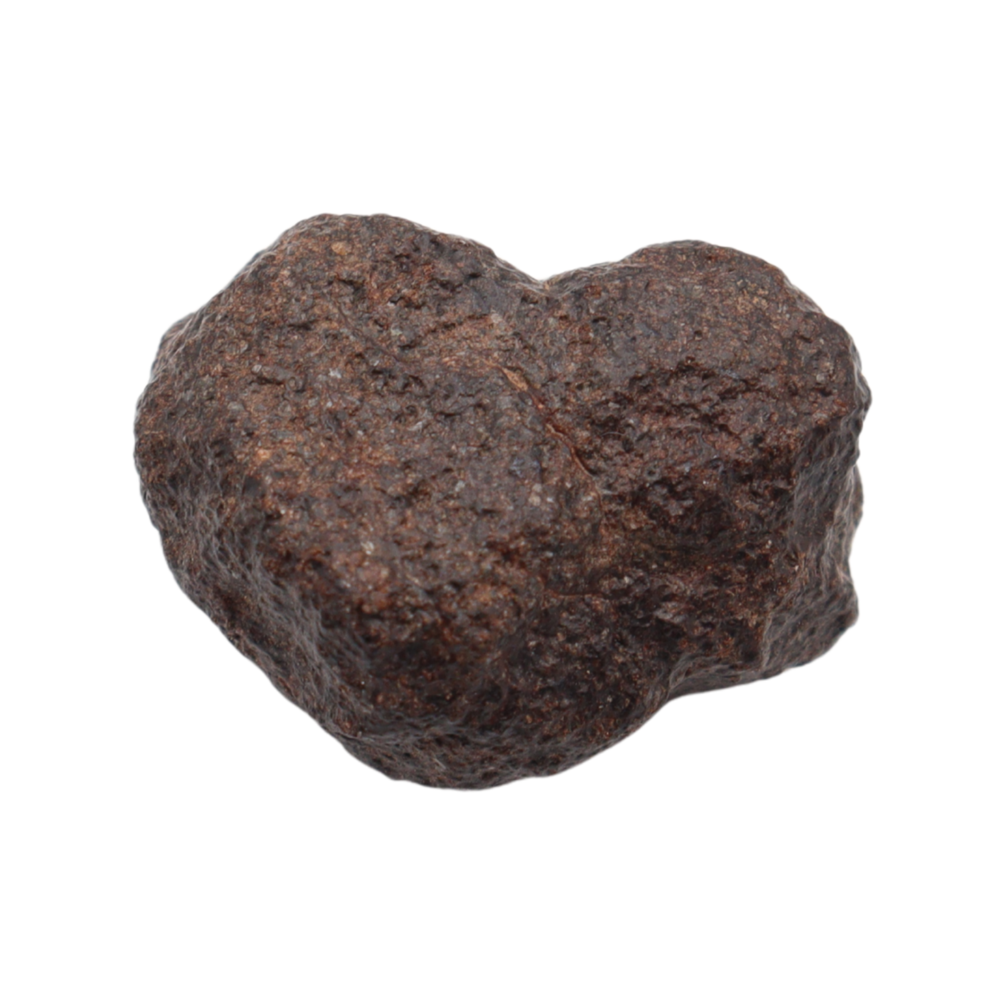 NWA 16208 Meteorite Winonaite Primitive Achondrite (6 g). - MBS meteorite 